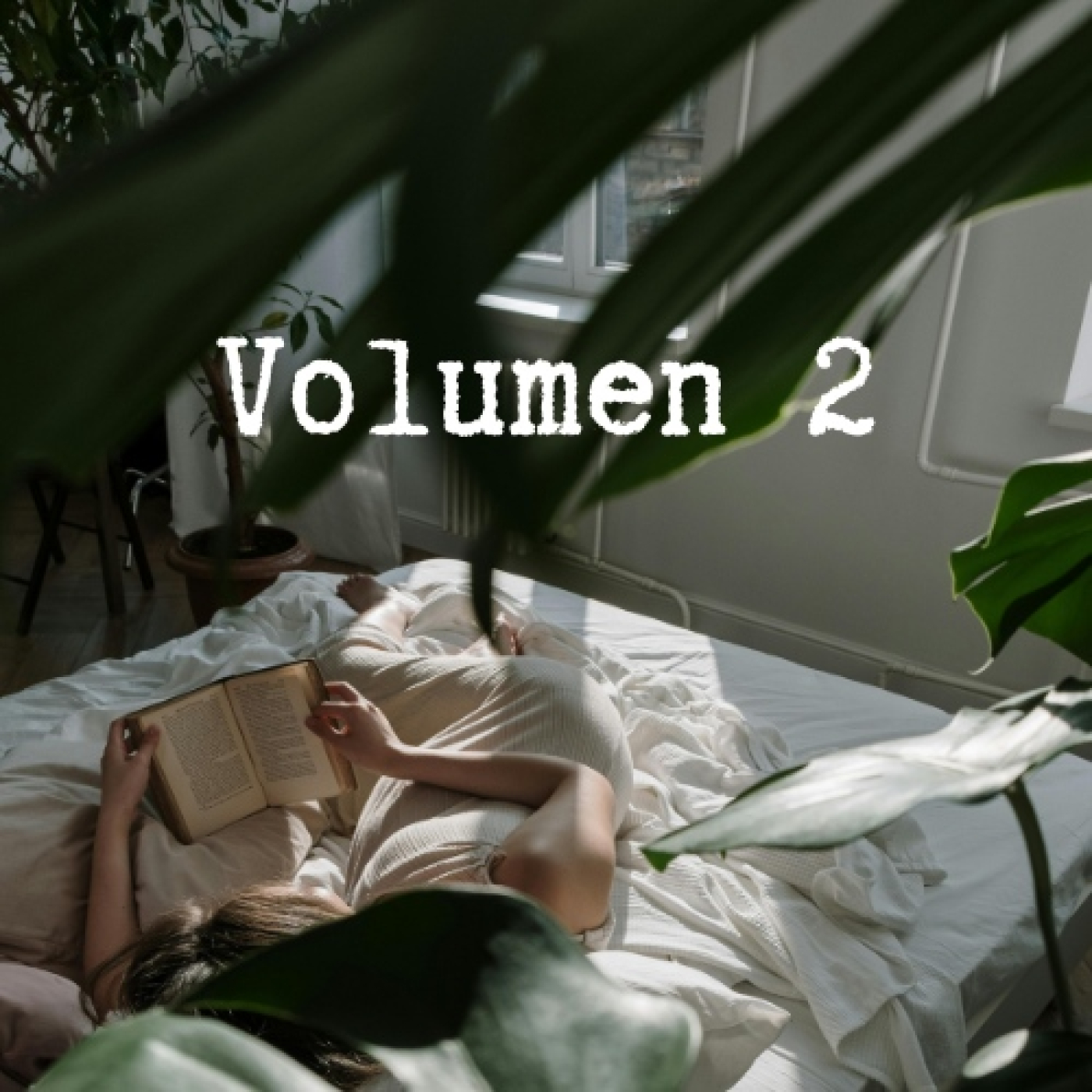 Volumen 2