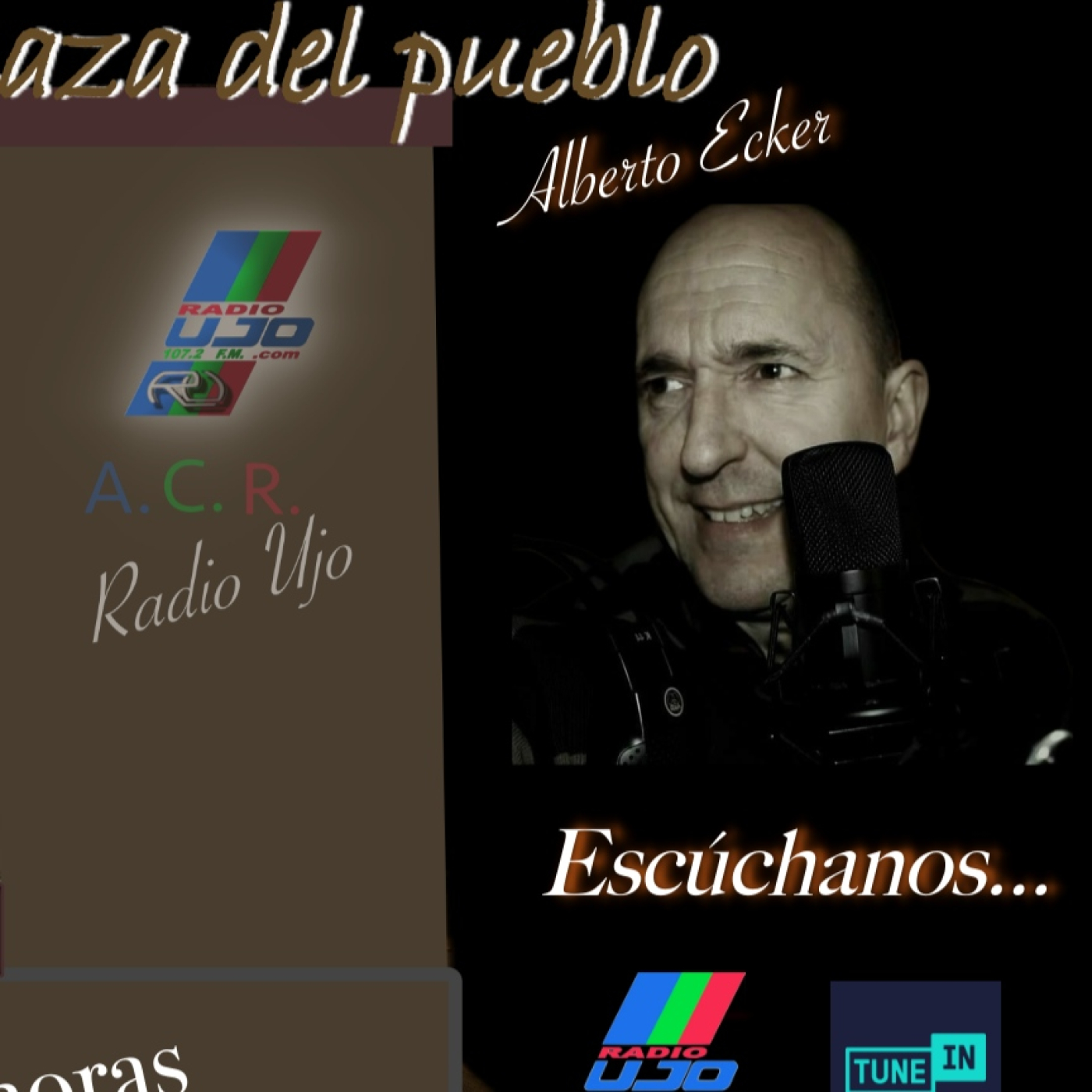 Desde la plaza 30 enero episode artwork