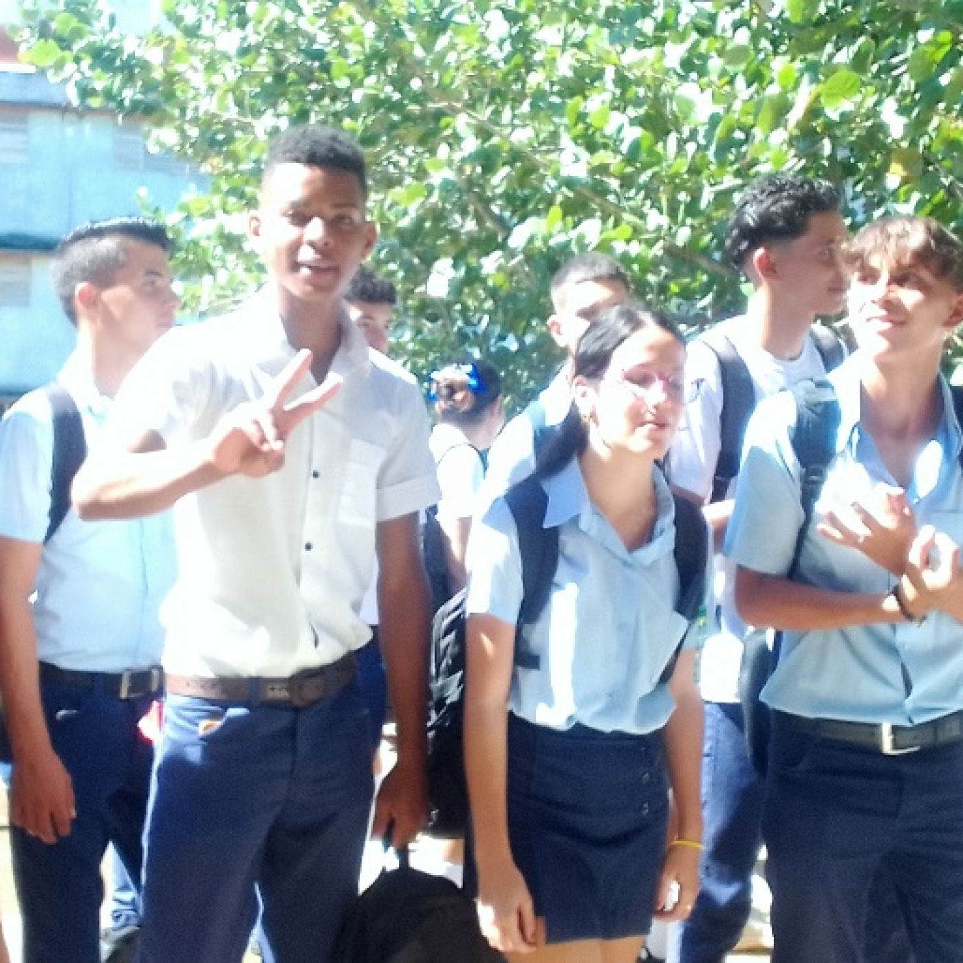 Maravillas en la docencia y agricultura en cienfueguero Centro Mixto Félix Edén Aguada
