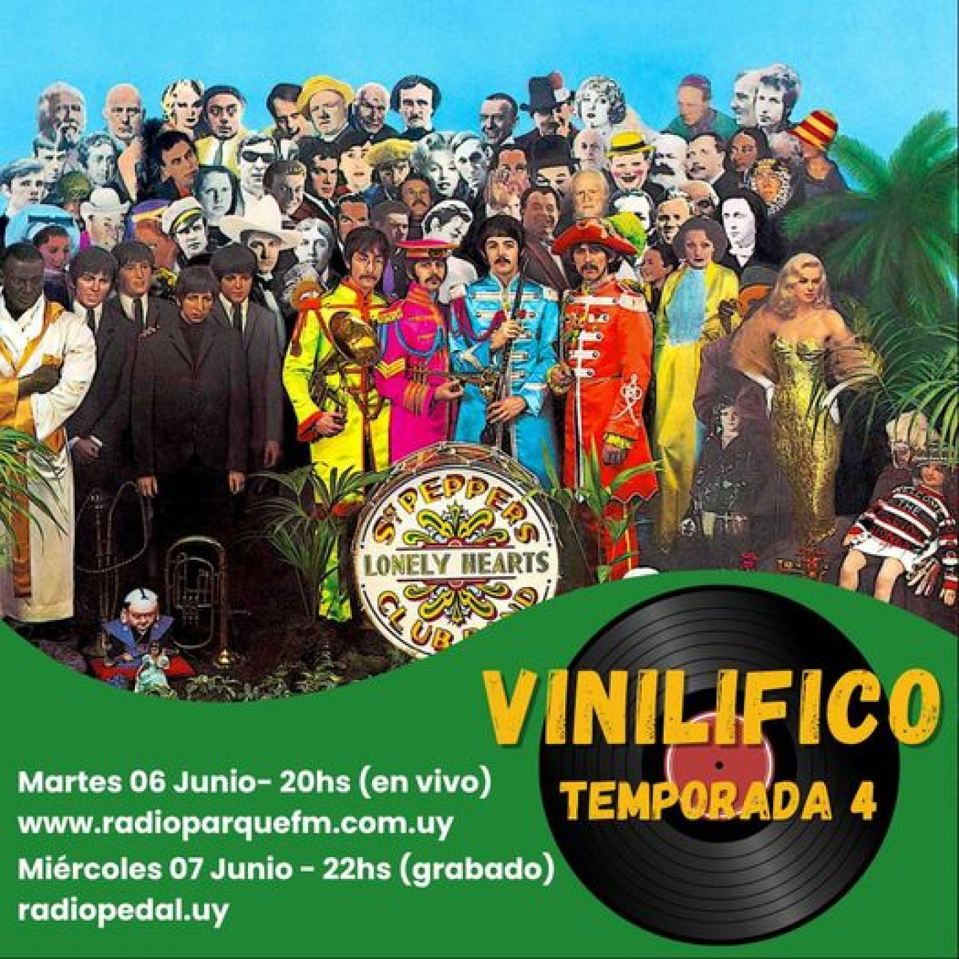 Vinilifico