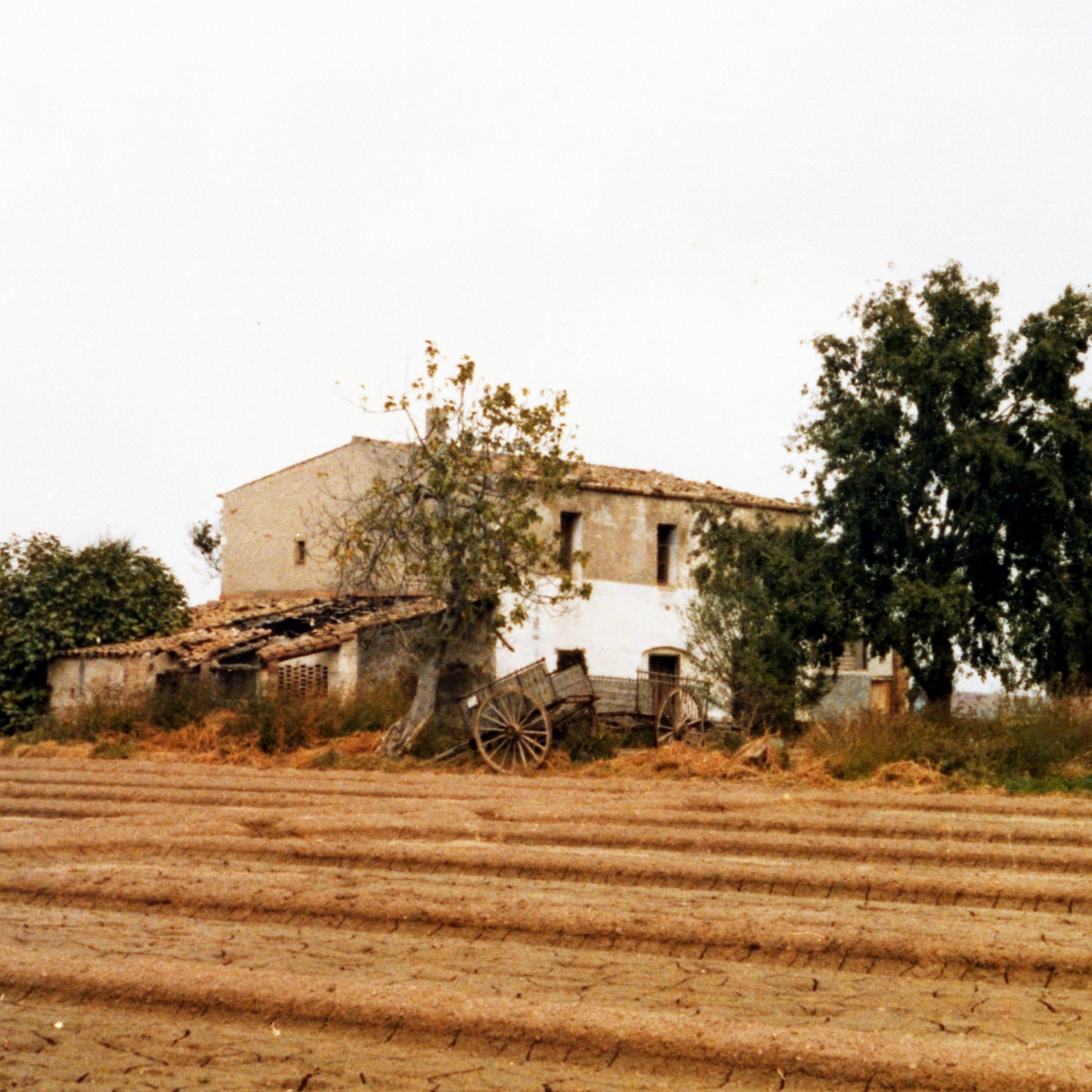 2025-05-29 MiP - 296 - Dones, pagesia i masies de Sant Boi de Llobregat episode artwork