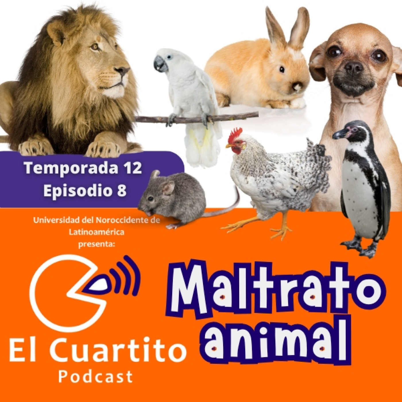 Maltrato animal episode artwork