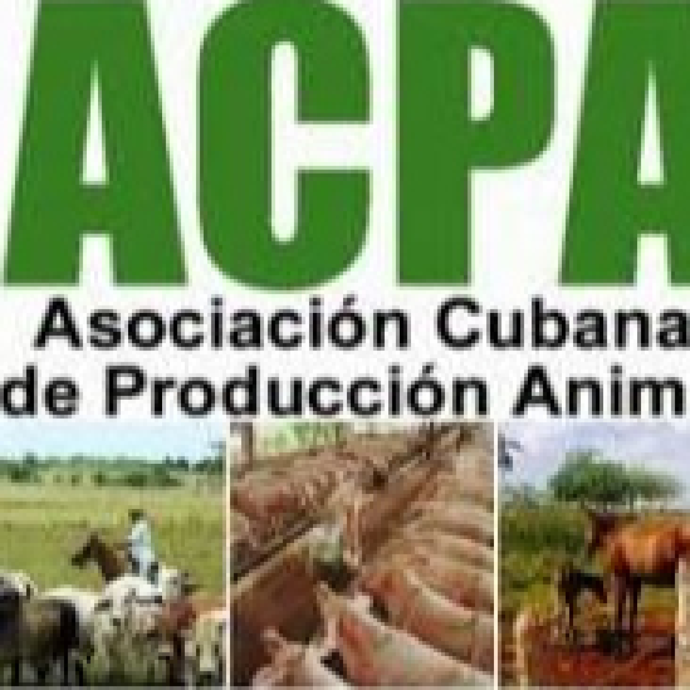Asociación Cubana de Producción Animal reitera denuncia contra el bloqueo