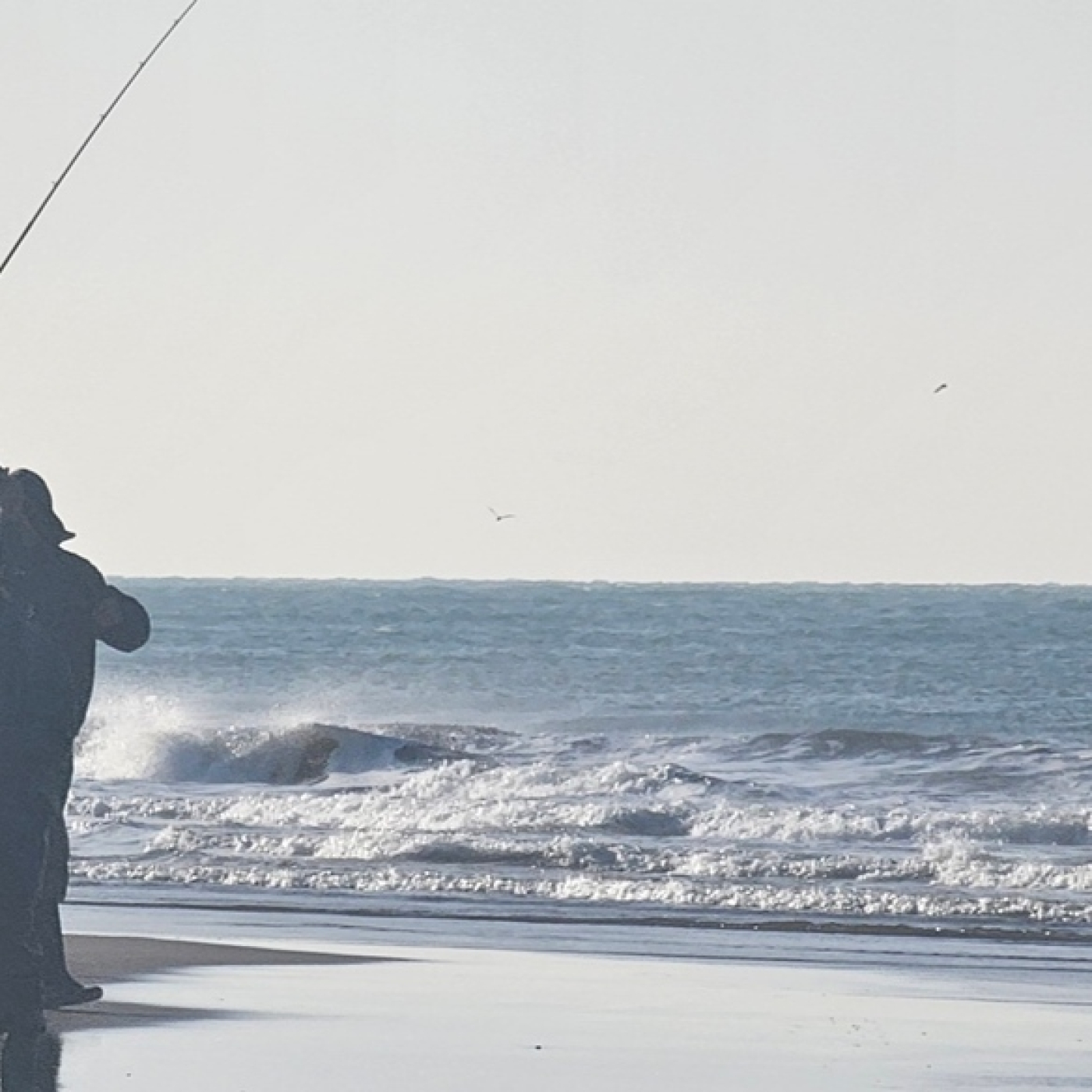 Planeta Pesca