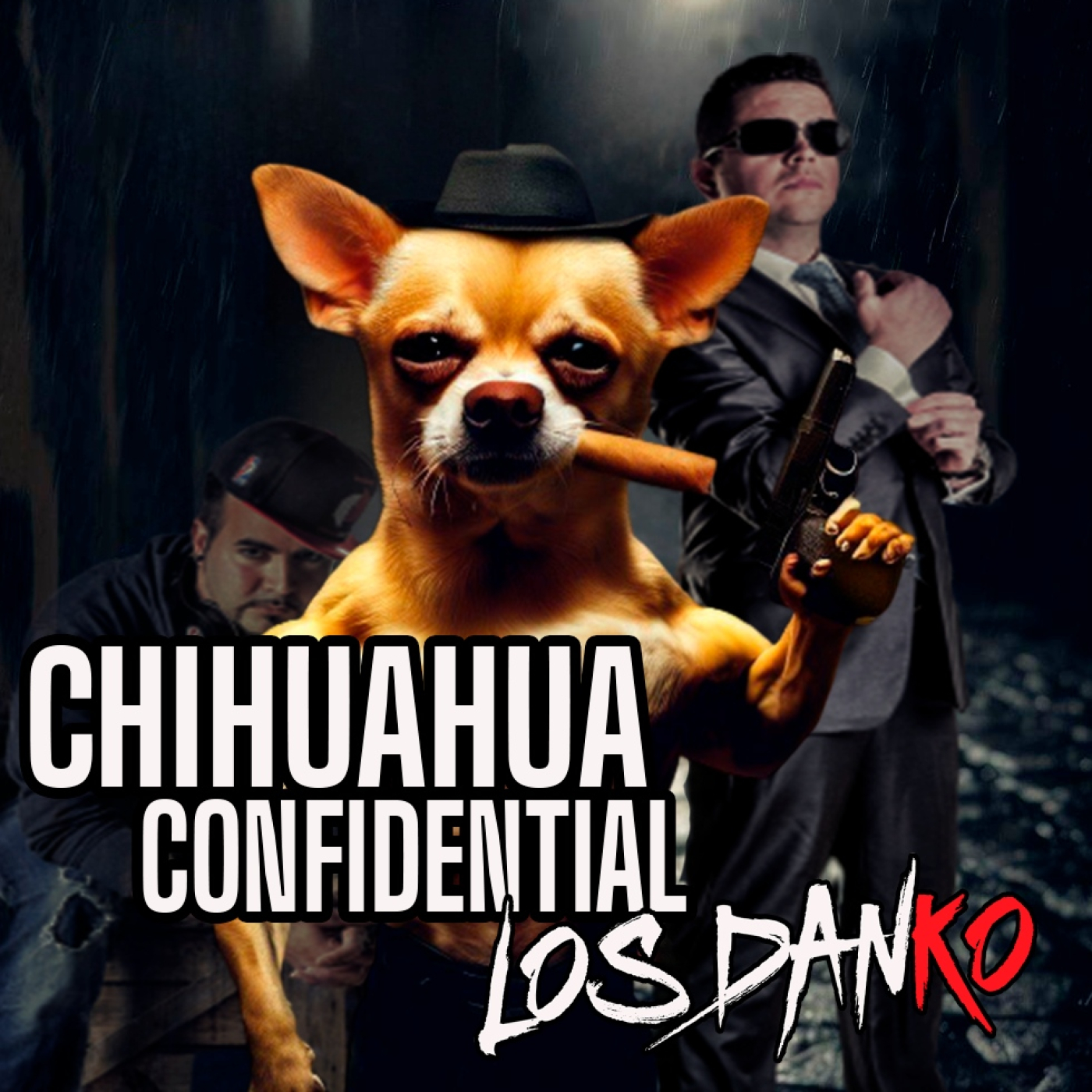 Semental Chihuahua