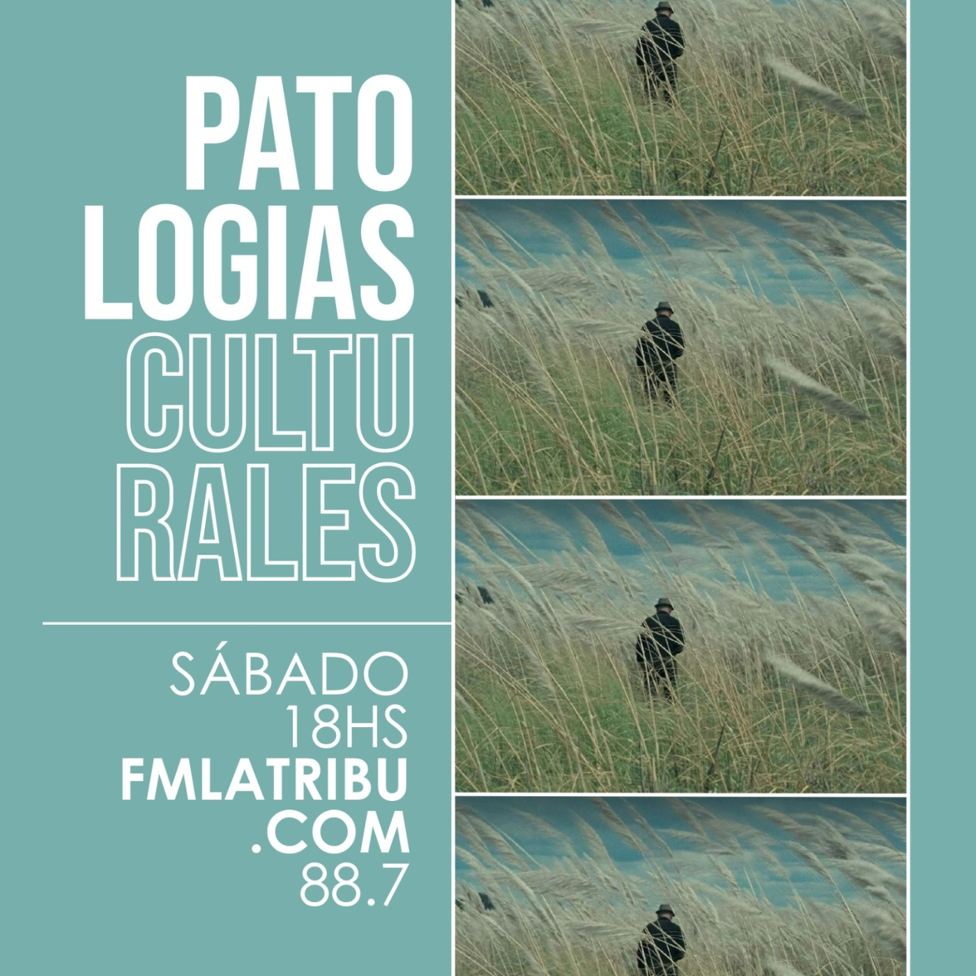 Patologías Culturales