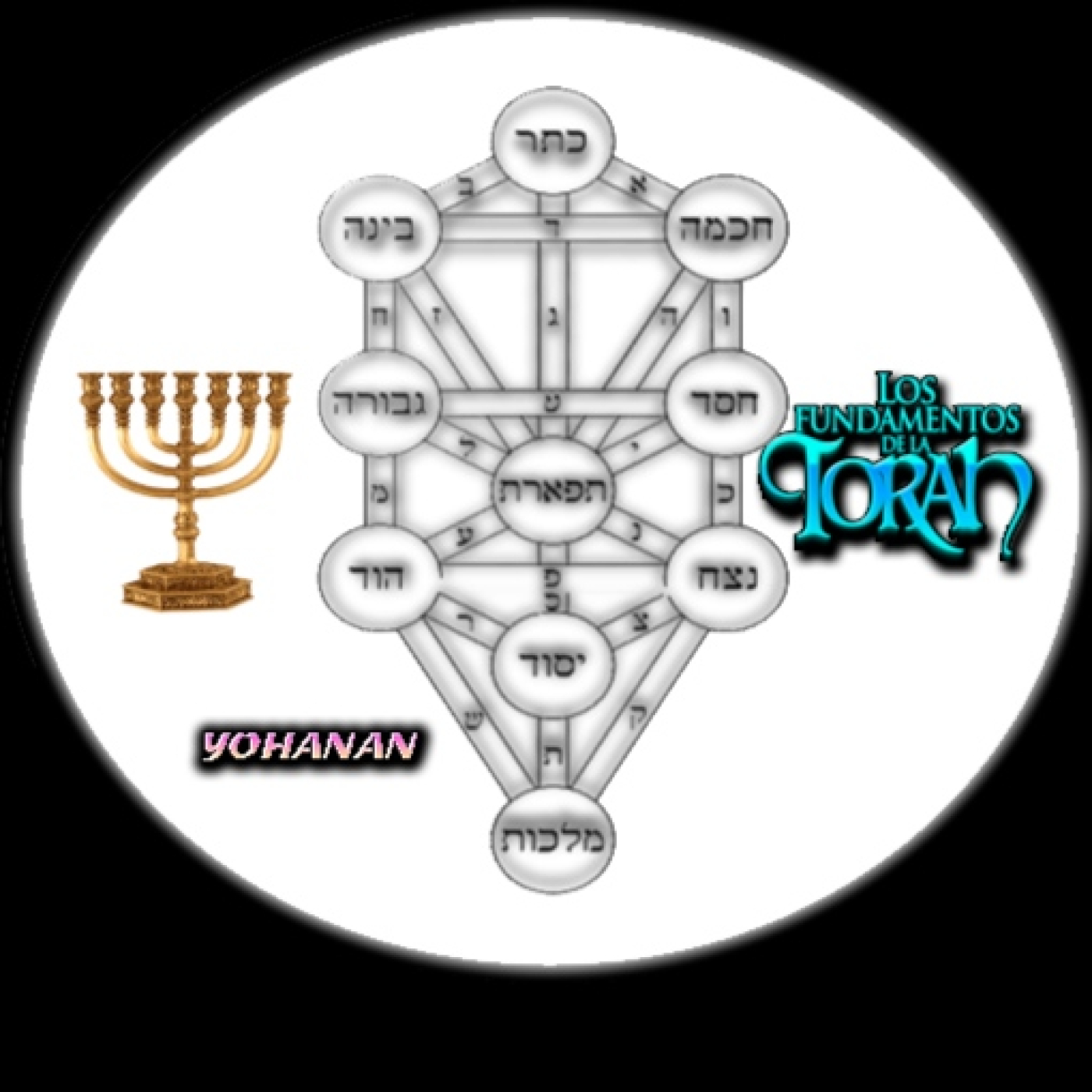 Los Limites de Hashem