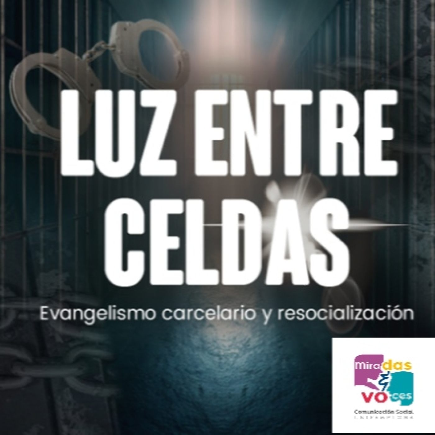 Miradas y Voces