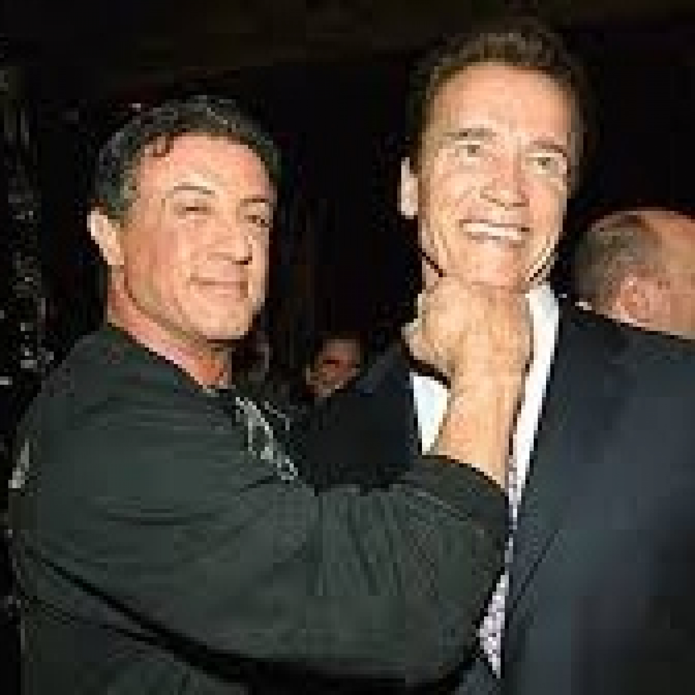 Stallone de mi vida