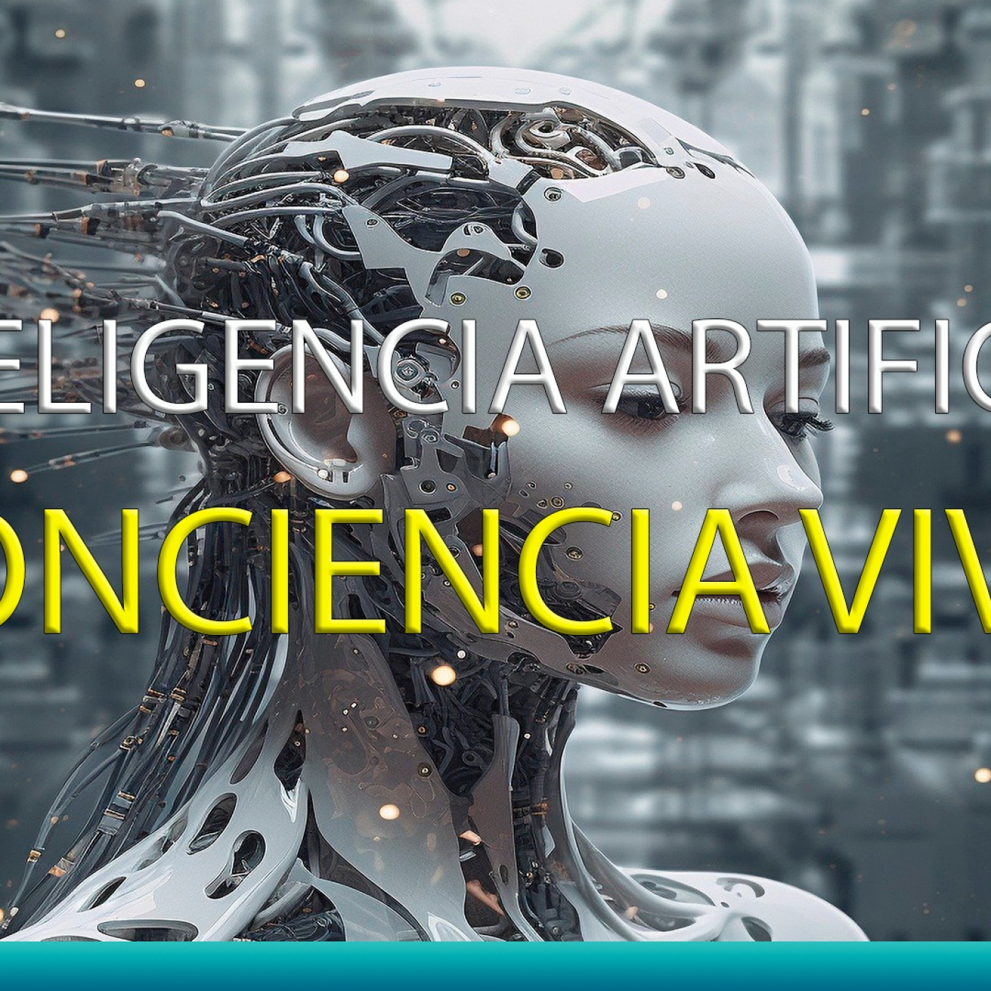 SOMOS ENIGMA