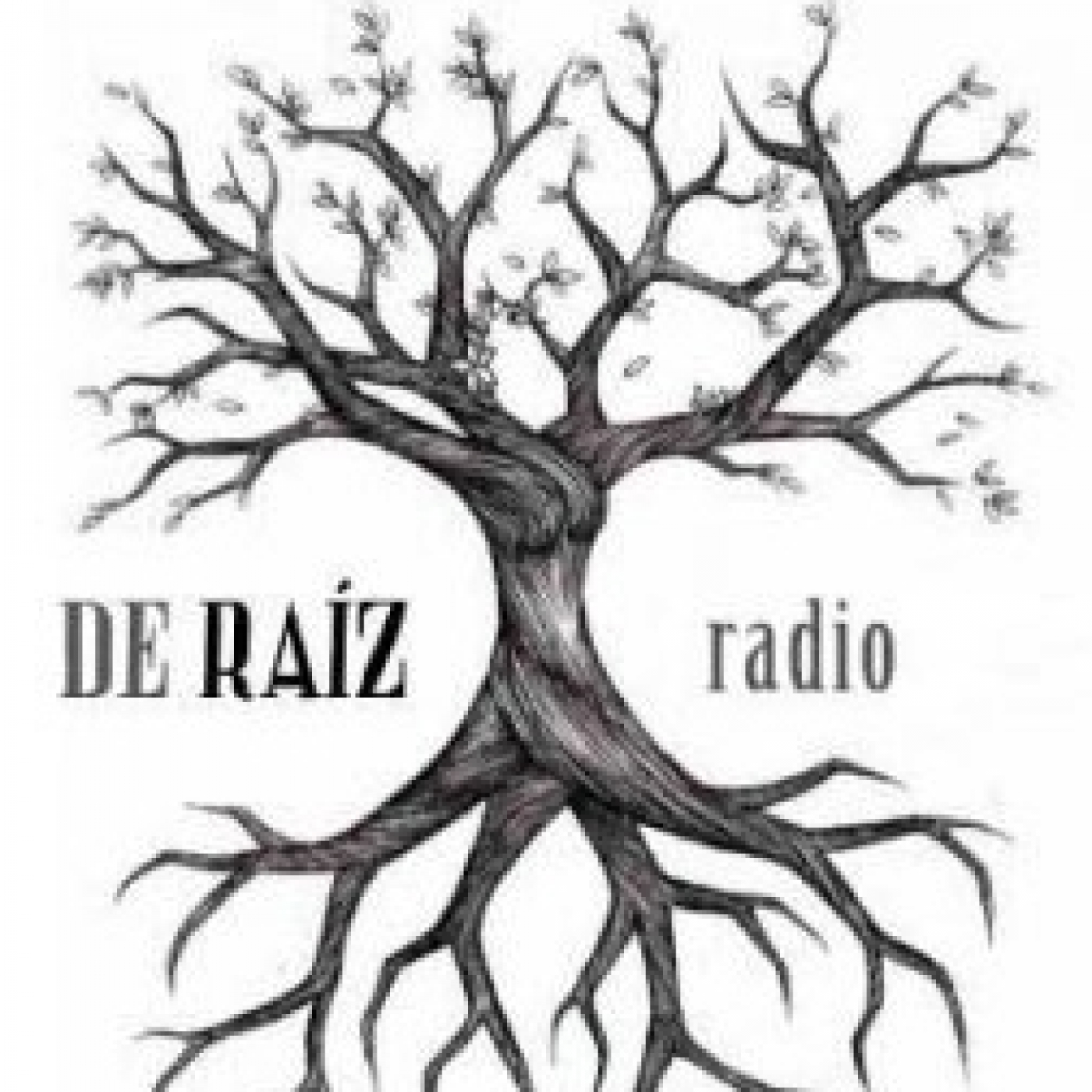 De Raíz Radio