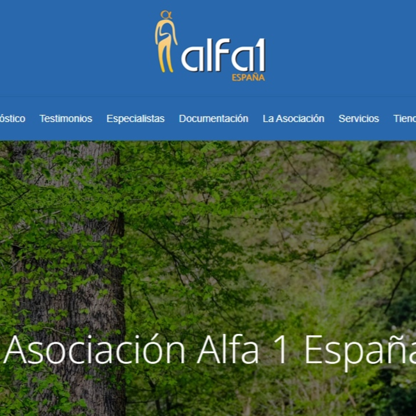Los Silencios de Elan