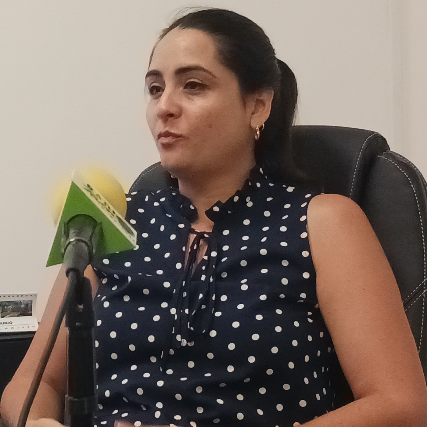 Ley de comunicación social: apuntes en el camino hacia su implementación