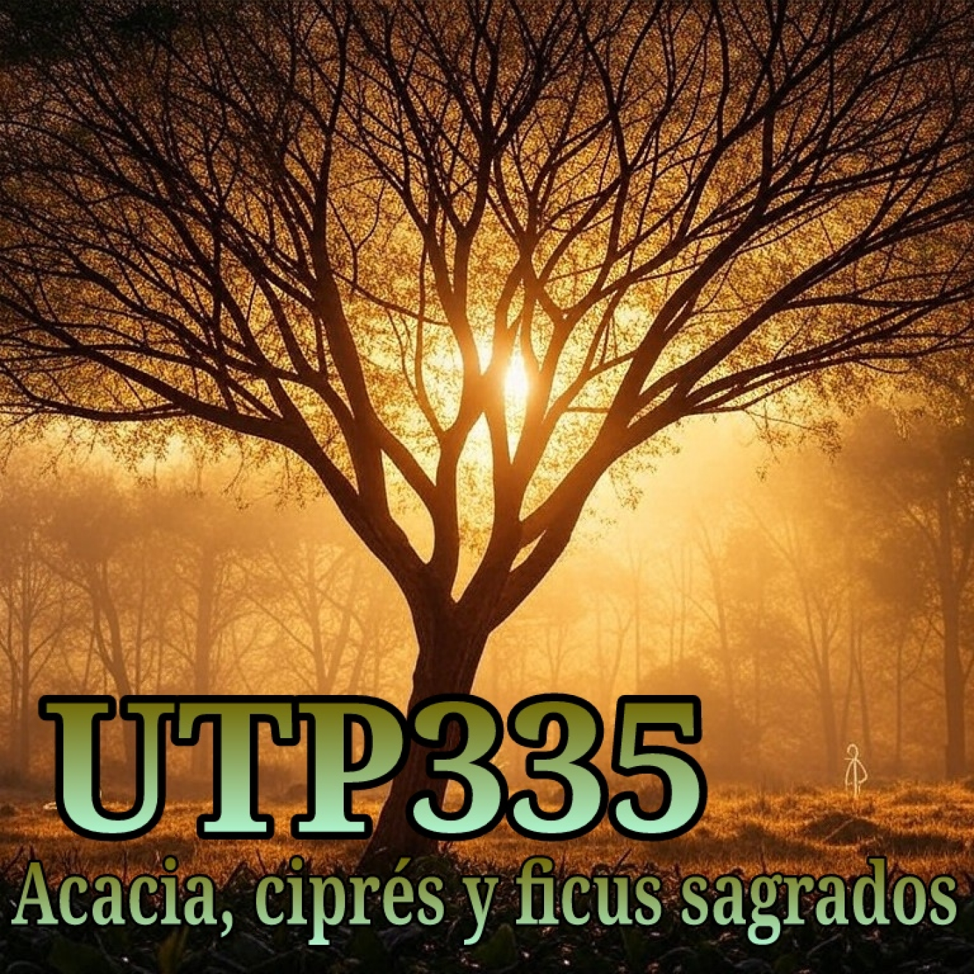 Buscadores de la verdad