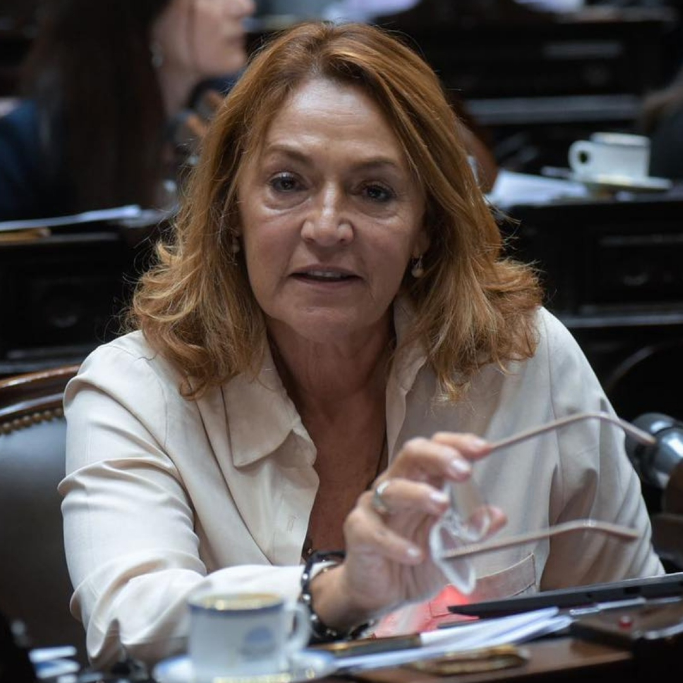 Marcela Campagnoli @M_Campagnoli (Diputada Nacional Coalición Cívica ARI-Cambiemos) Unas Cuantas Verdades