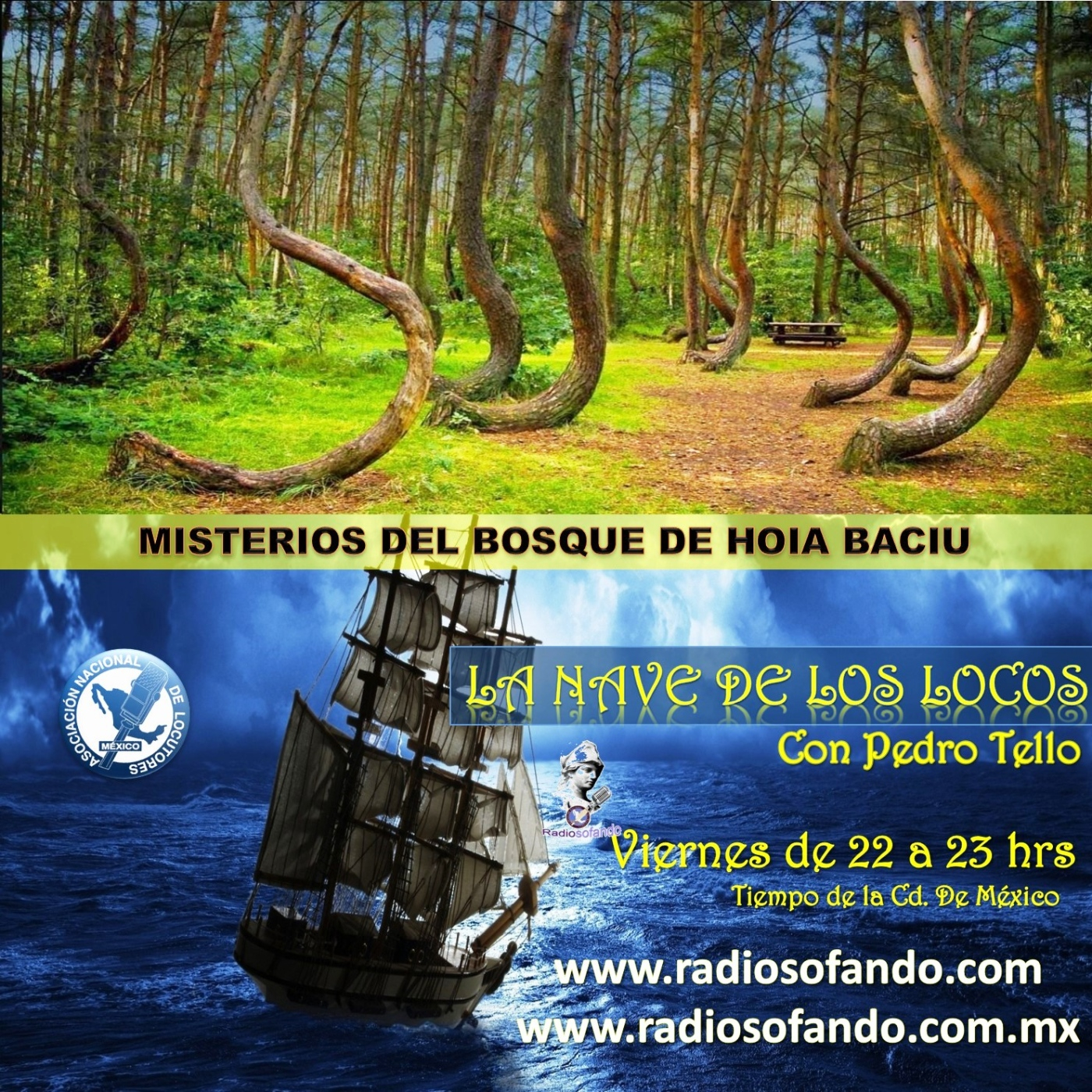 La Nave de los Locos_MISTERIO DEL BOSQUE DE HOIA BACIU_30-05-25 episode artwork