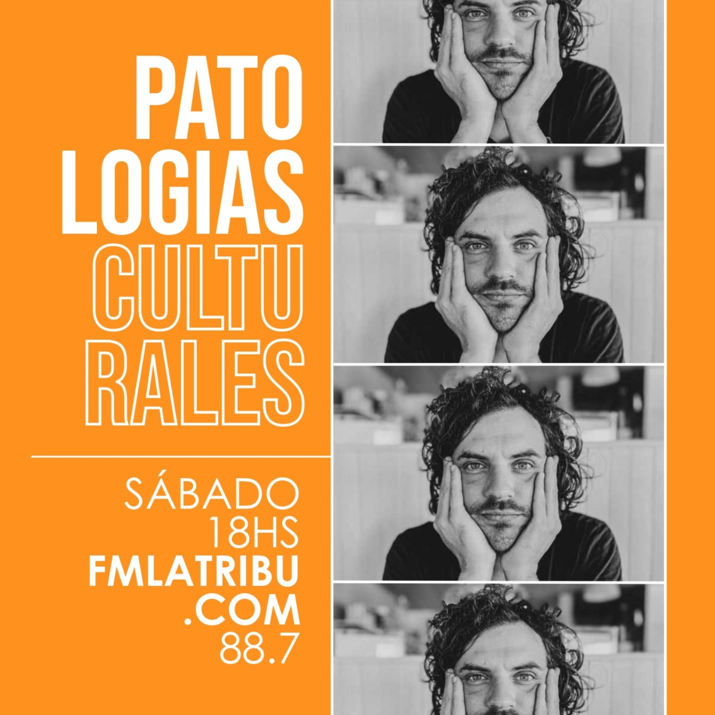 Patologías Culturales