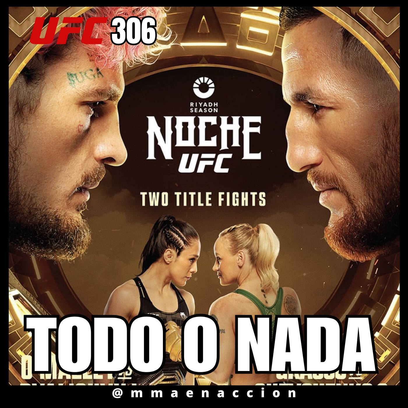 MMA en acción