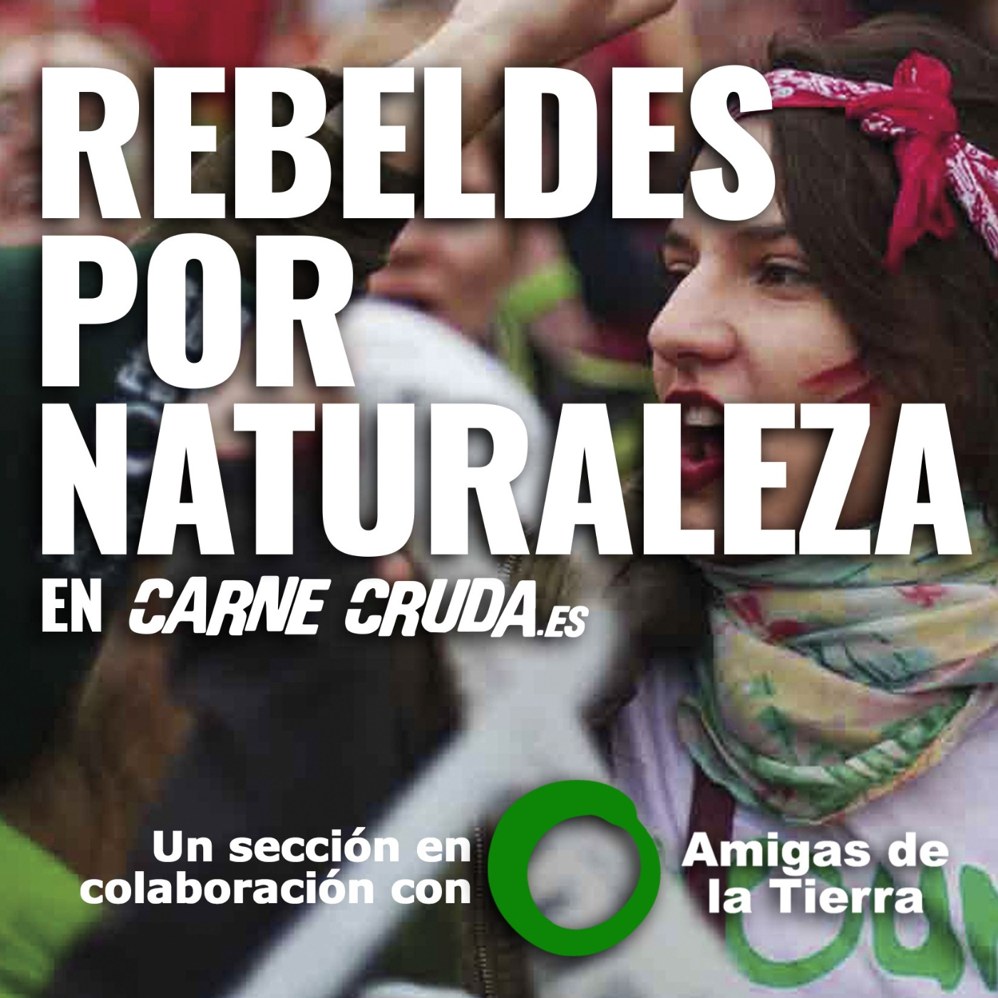 CarneCruda.es SECCIONES