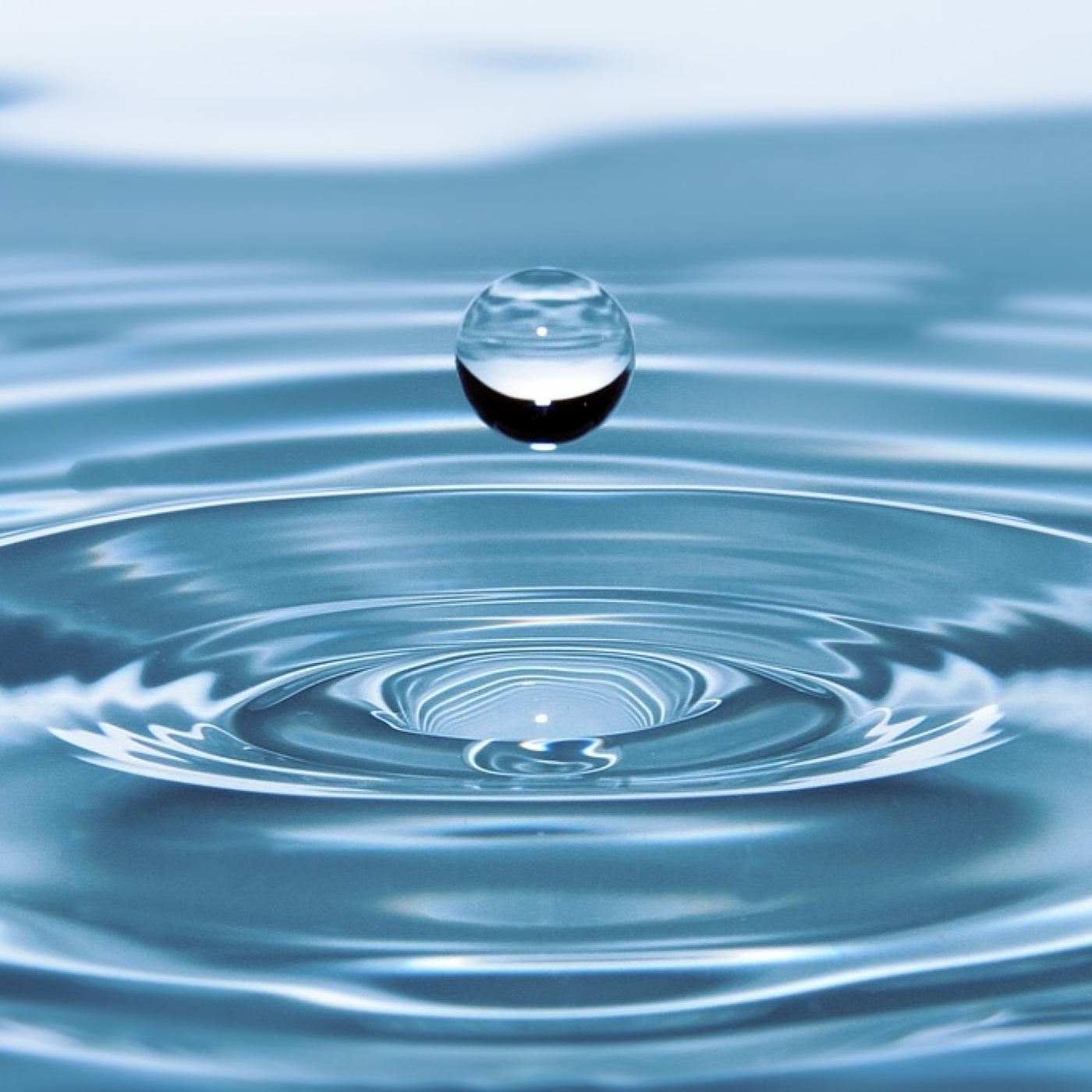 Roger Àlvarez Meditación