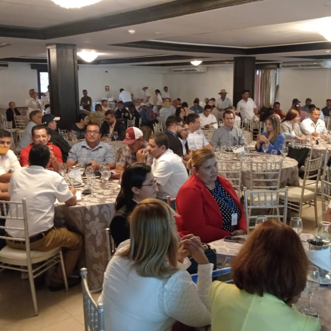 Am Original 1180 / Noticias