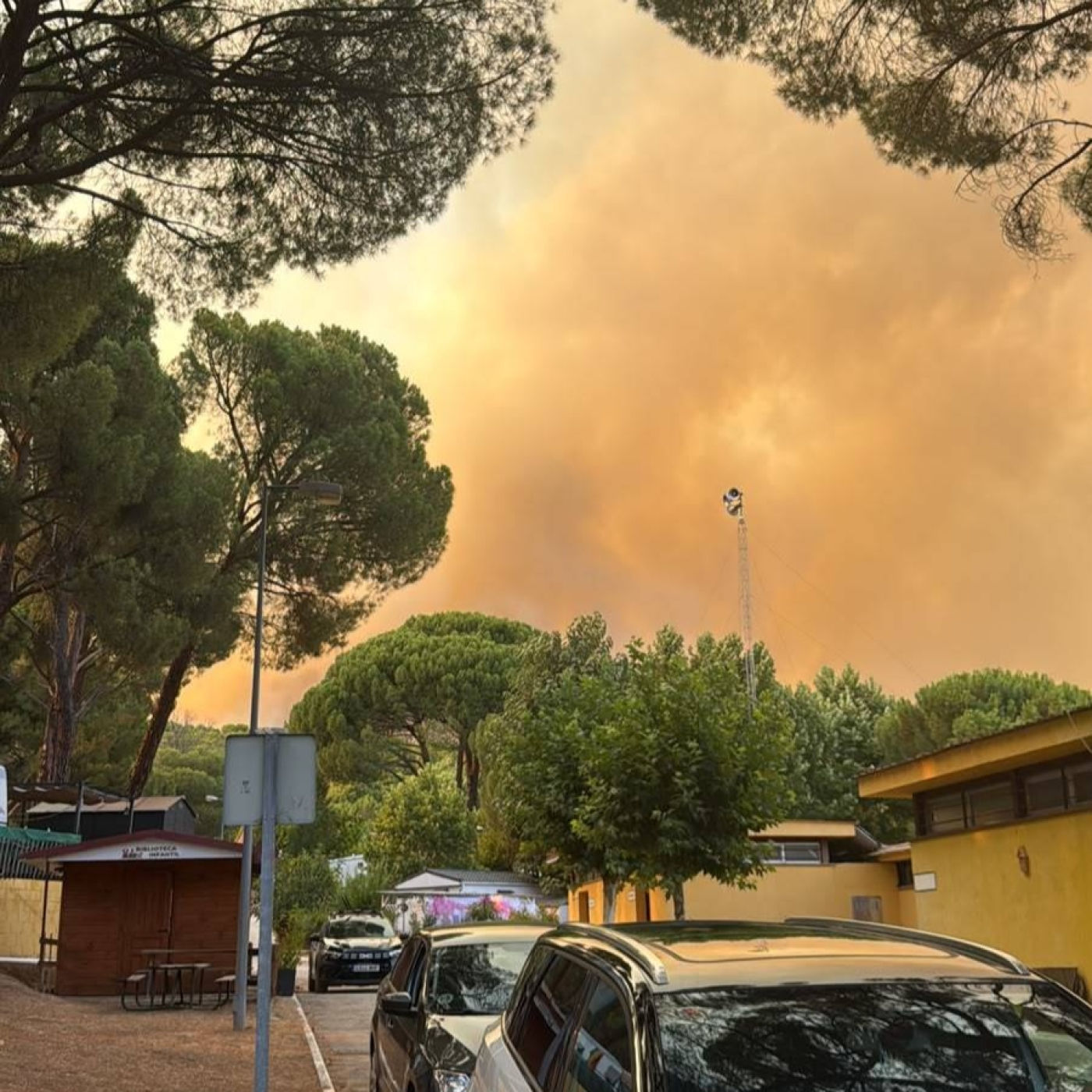 Entrevista a Esteban Carrasco, propietario de campings de la zona afectada de los incendios de Madrid y Ávila. episode artwork