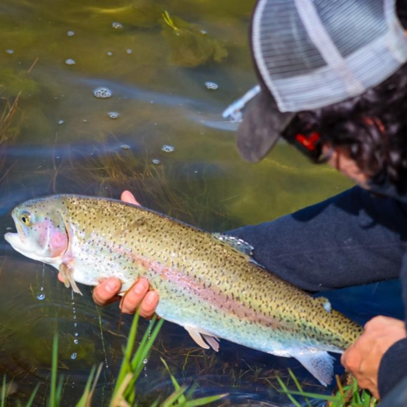 Rio de la Vida pesca