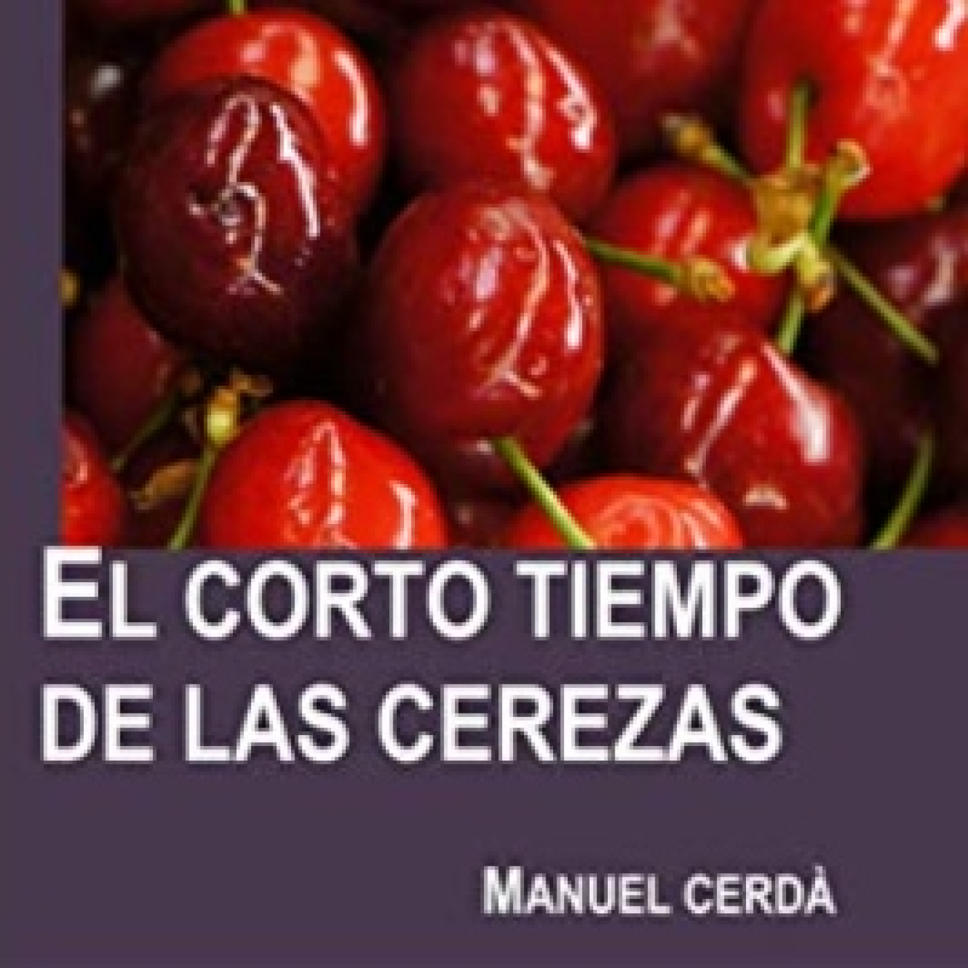 Hablando de Literatura