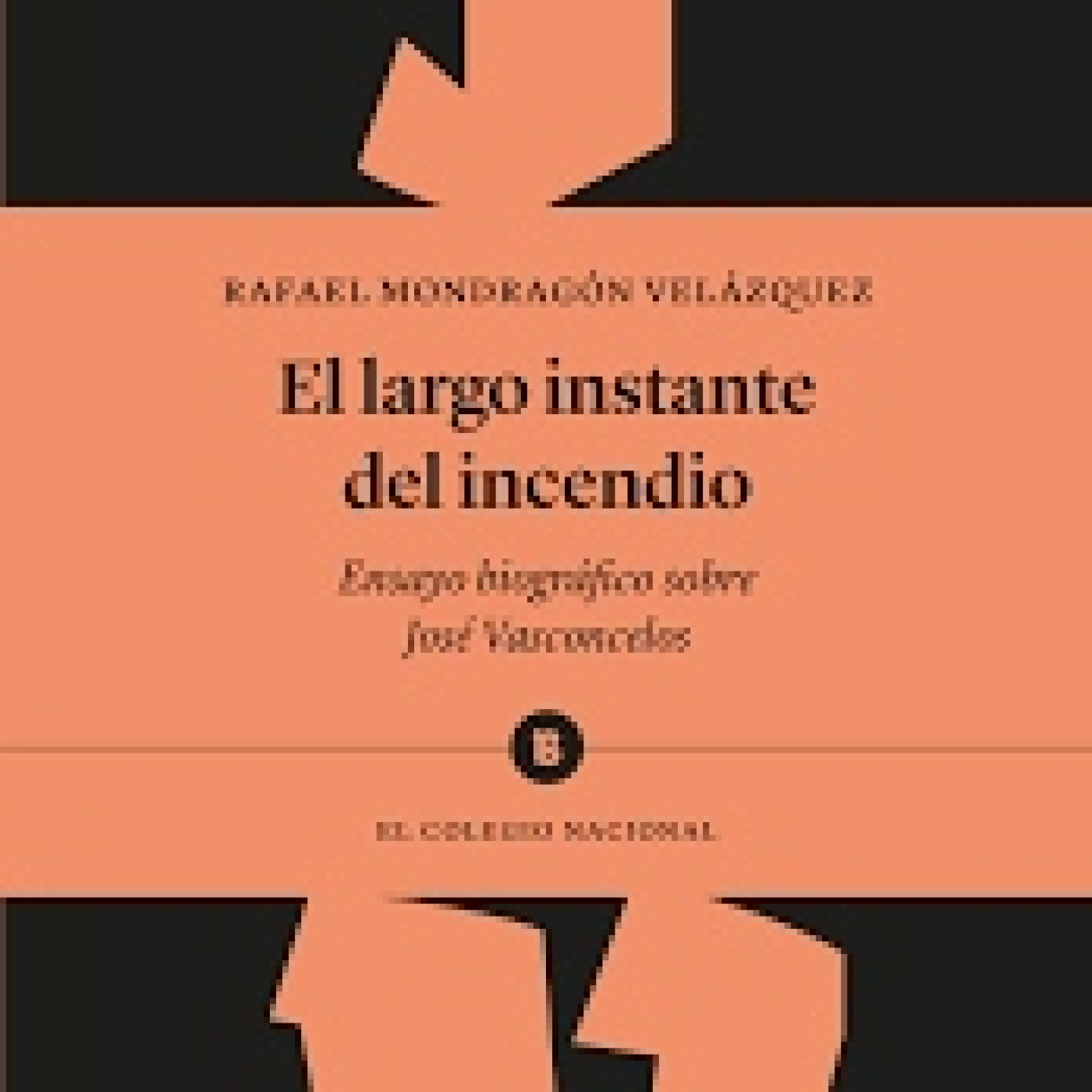 Apiedepágina IMER