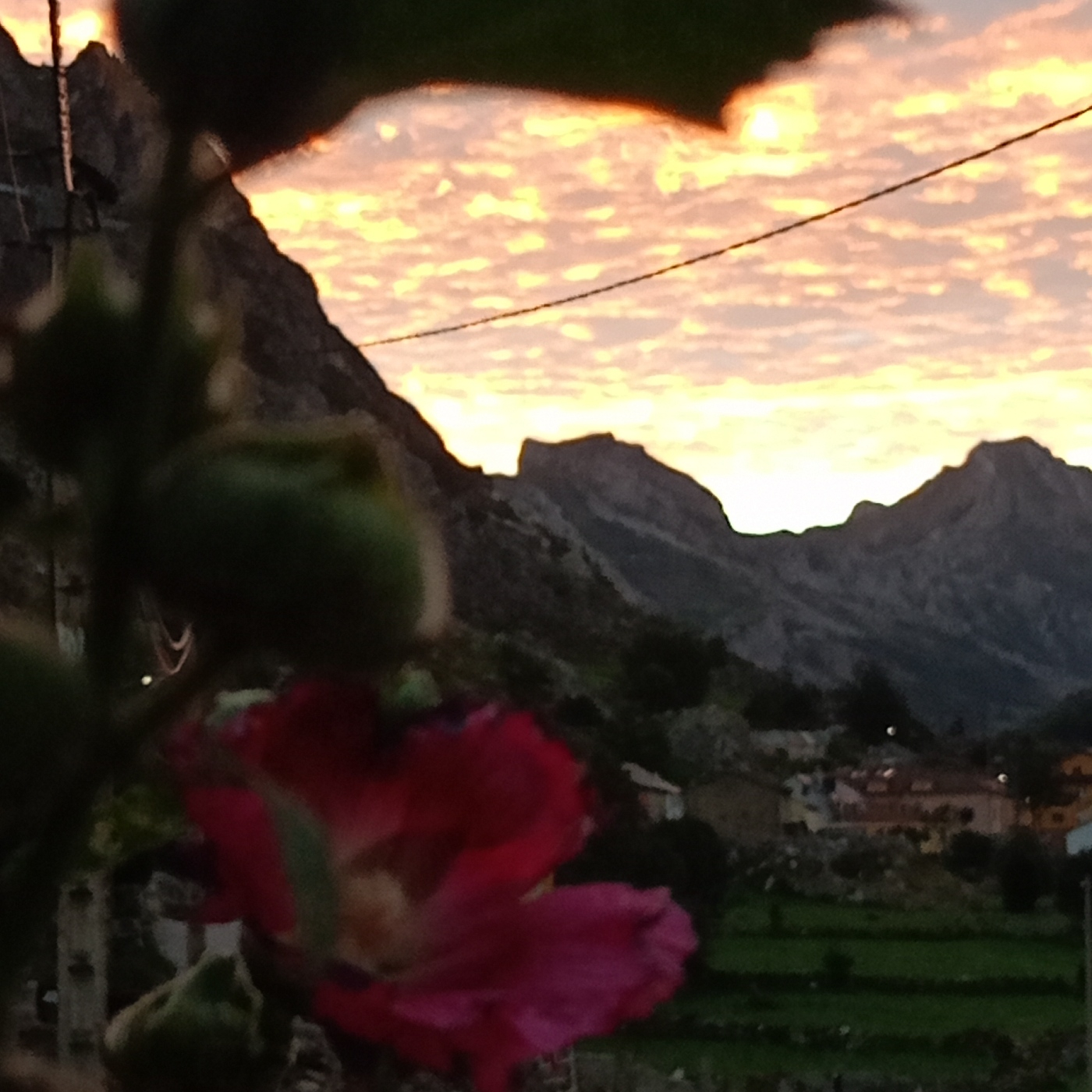Noches En la Hoguera
