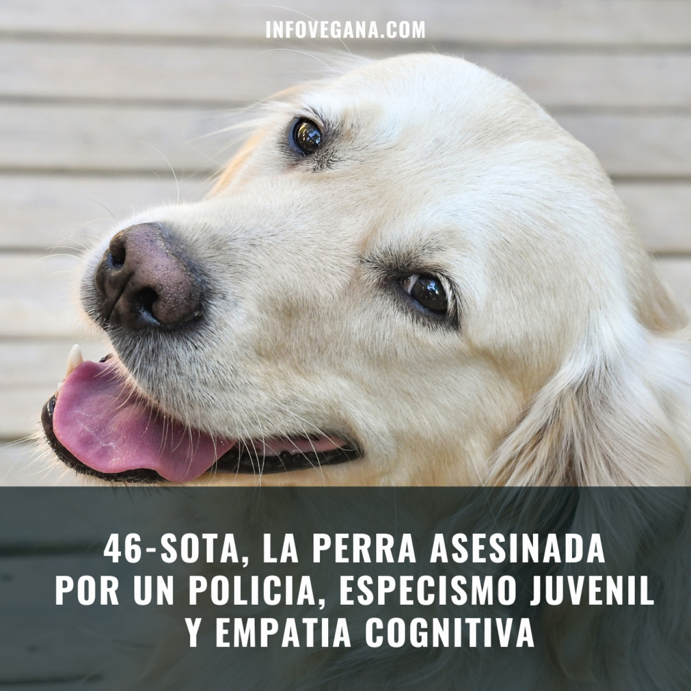 Infovegana, podcast de veganismo y sostenibilidad