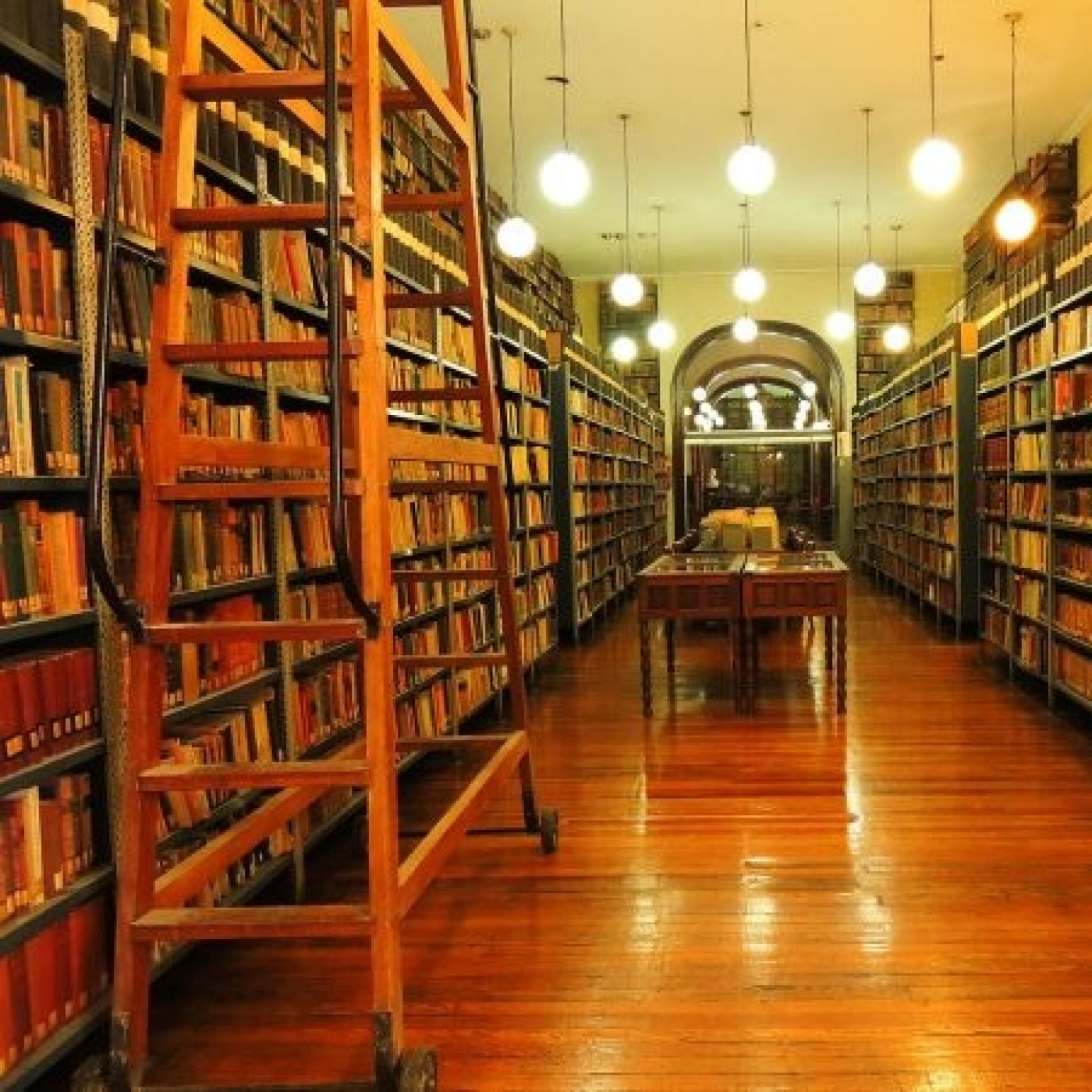 En las bibliotecas también se folla.