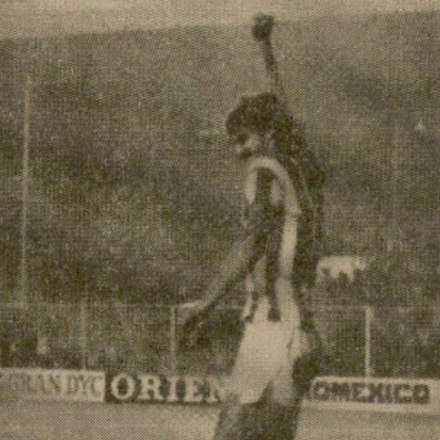 Corazón Txuri Urdin