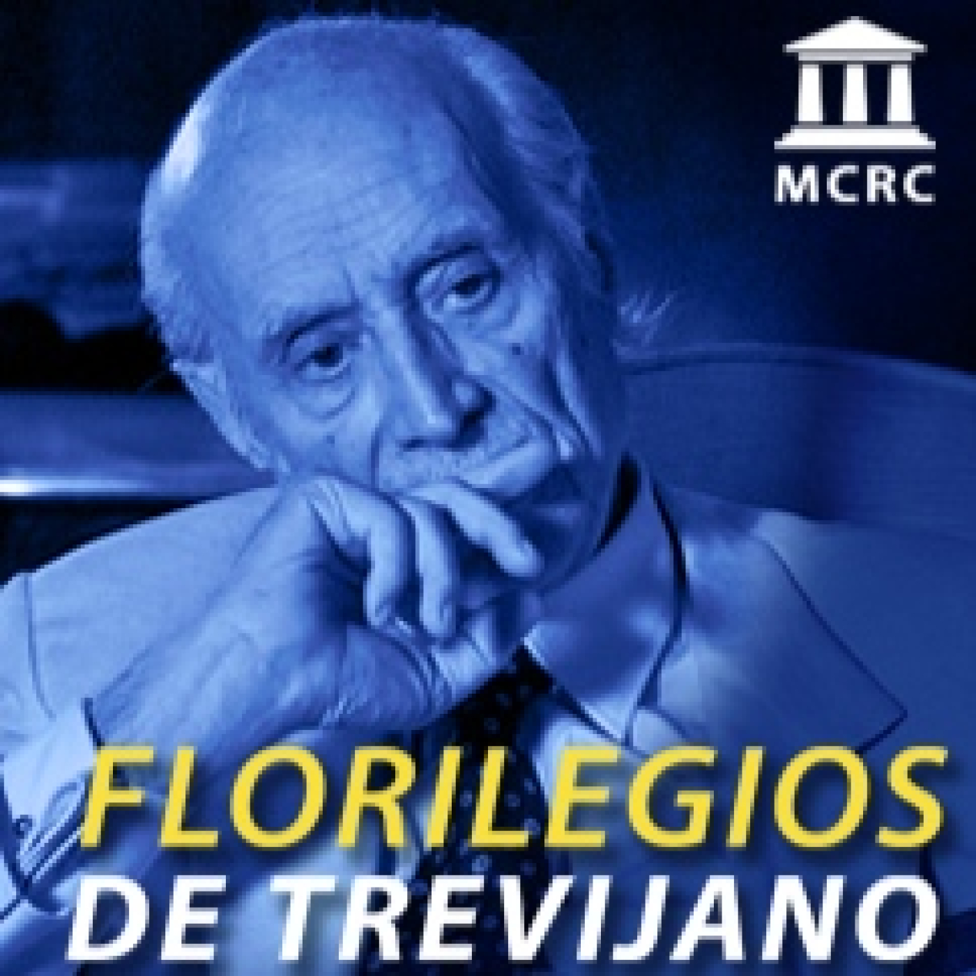Radio Libertad Constituyente