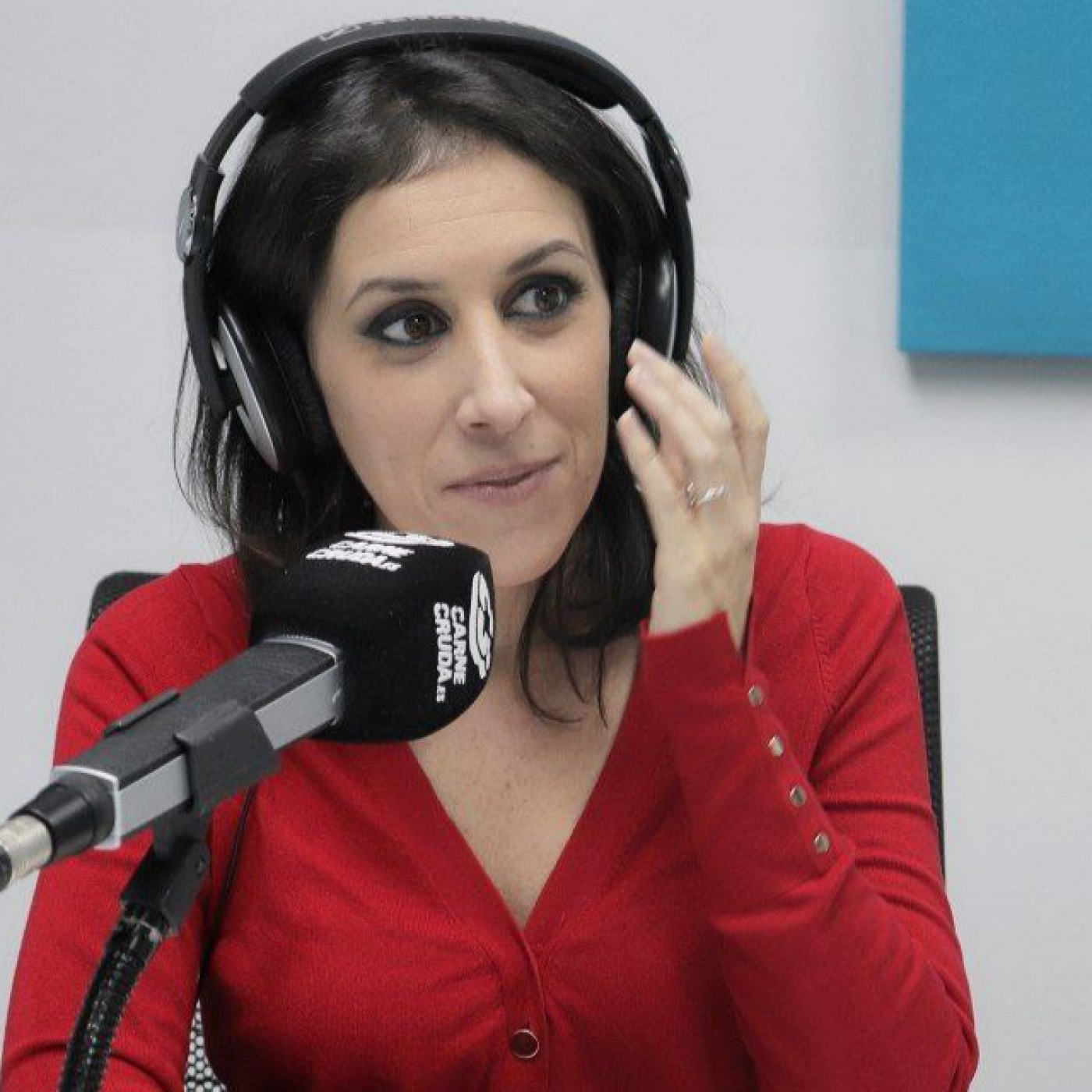 CarneCruda.es SECCIONES