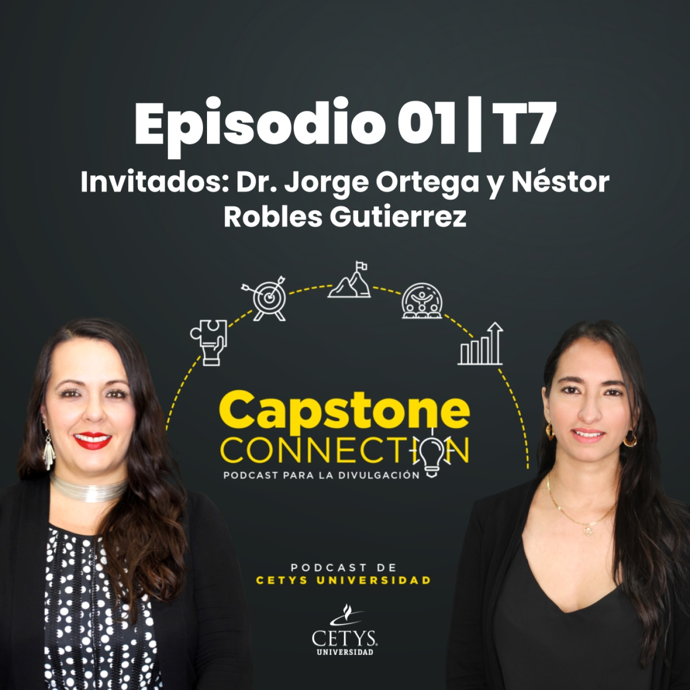Capstone Connection