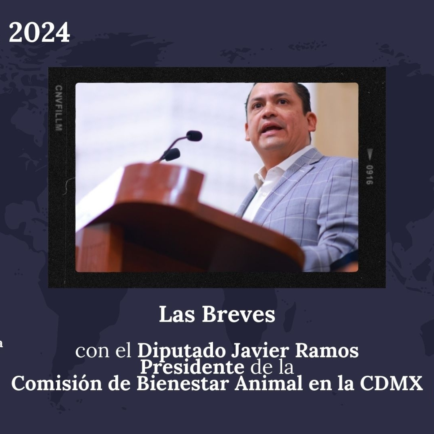 Todos Somos Animales News