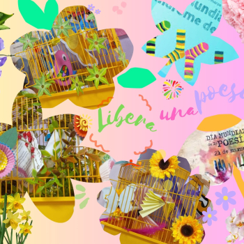 embed image