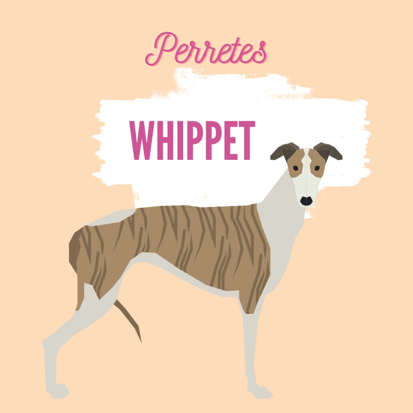 Perretes | Las razas de perros