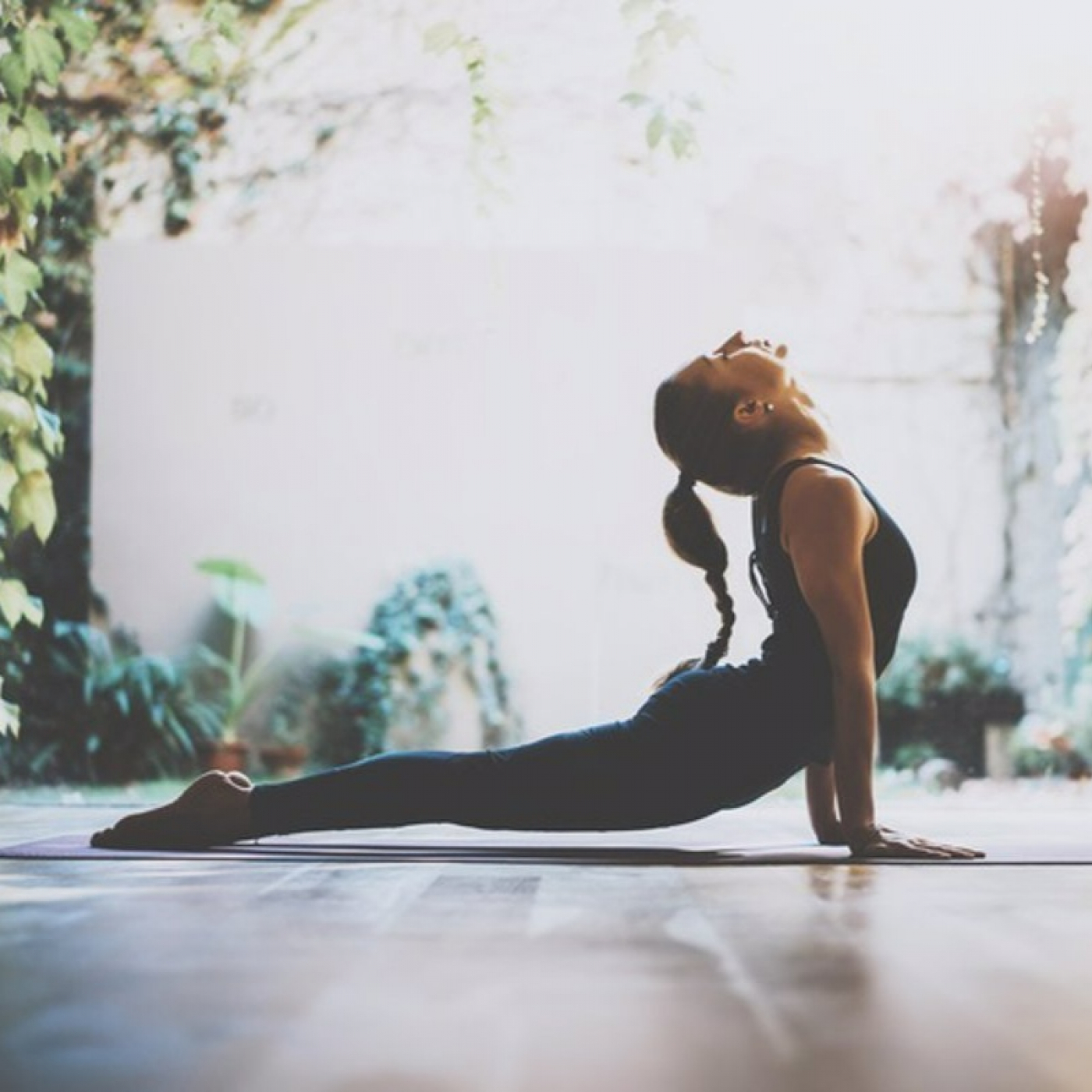 Meditaaccion