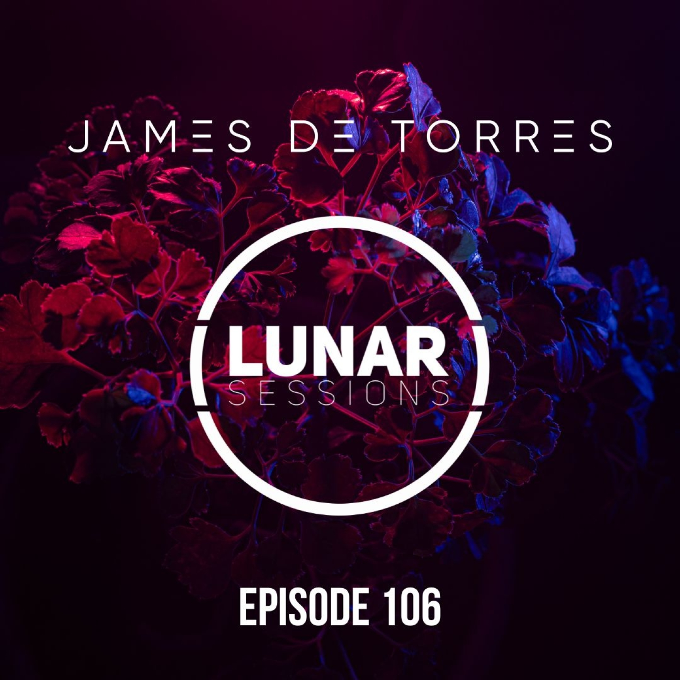Lunar Sessions