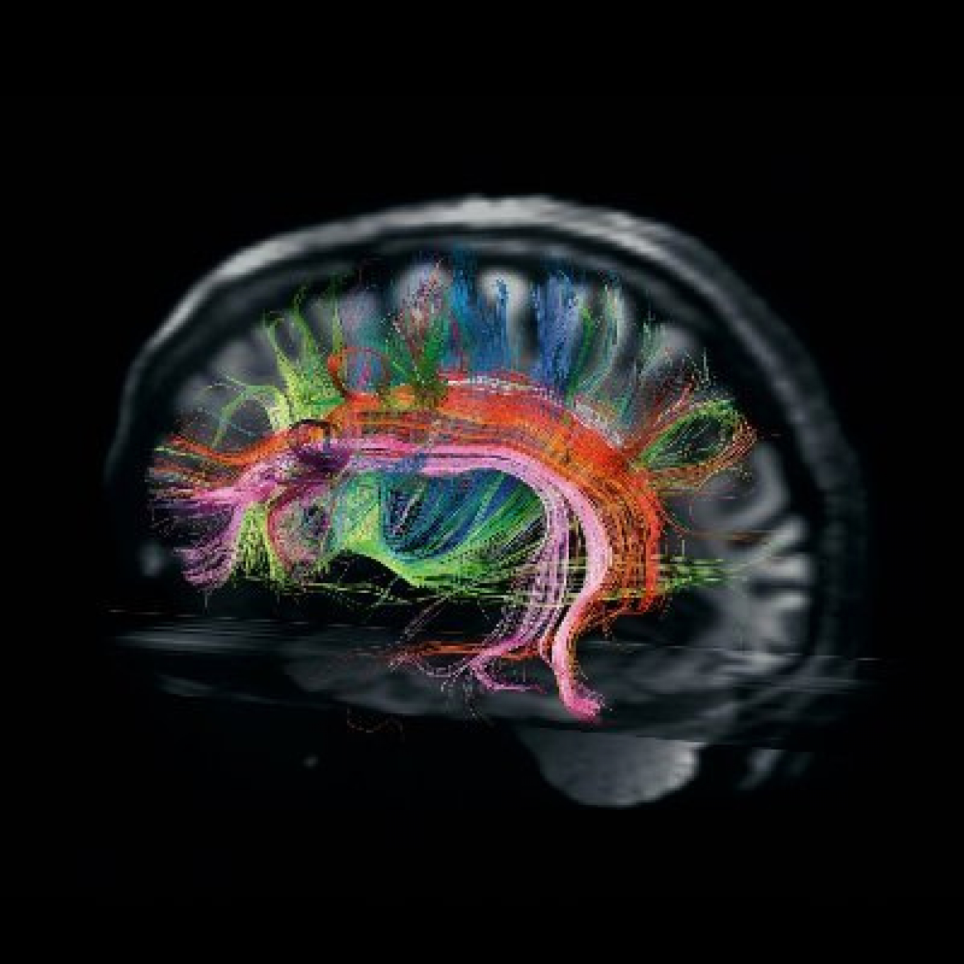 Divulgadamente 1x05: Crisis del Coronavirus y efectos del alcohol en el cerebro