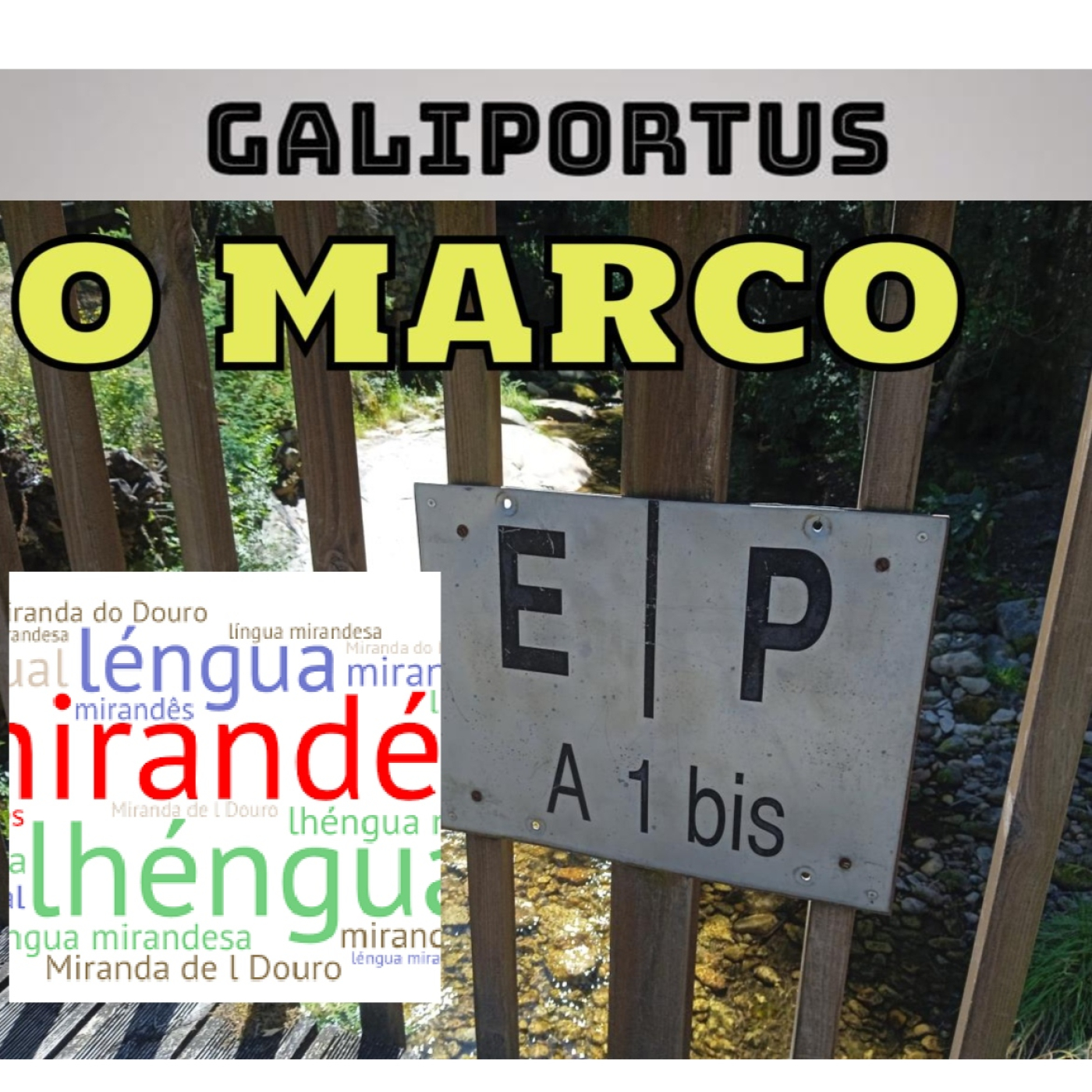 GALIPORTUS