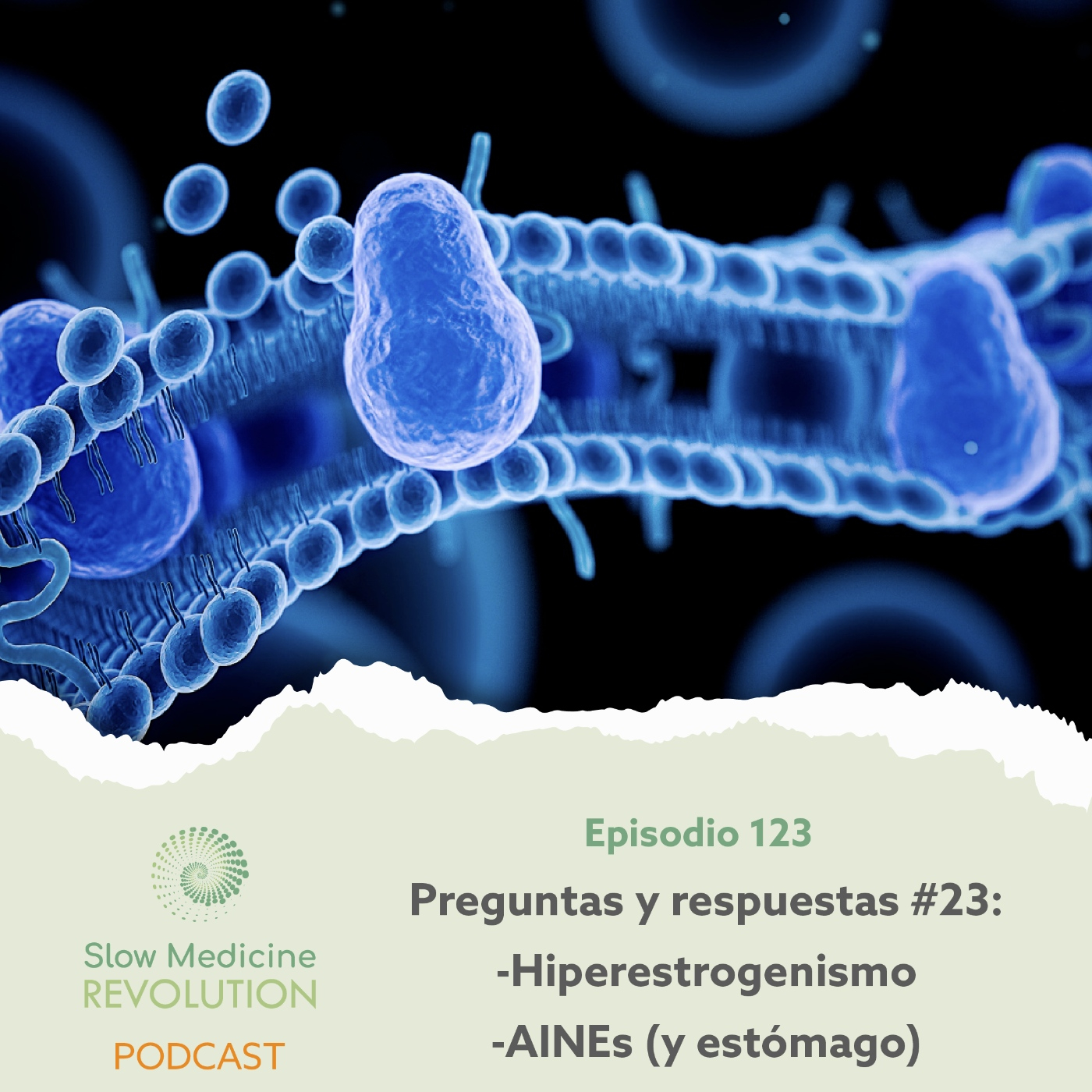 123 - PyR23: Hiperestrogenismo / AINEs (y estómago) - Episodio exclusivo para mecenas