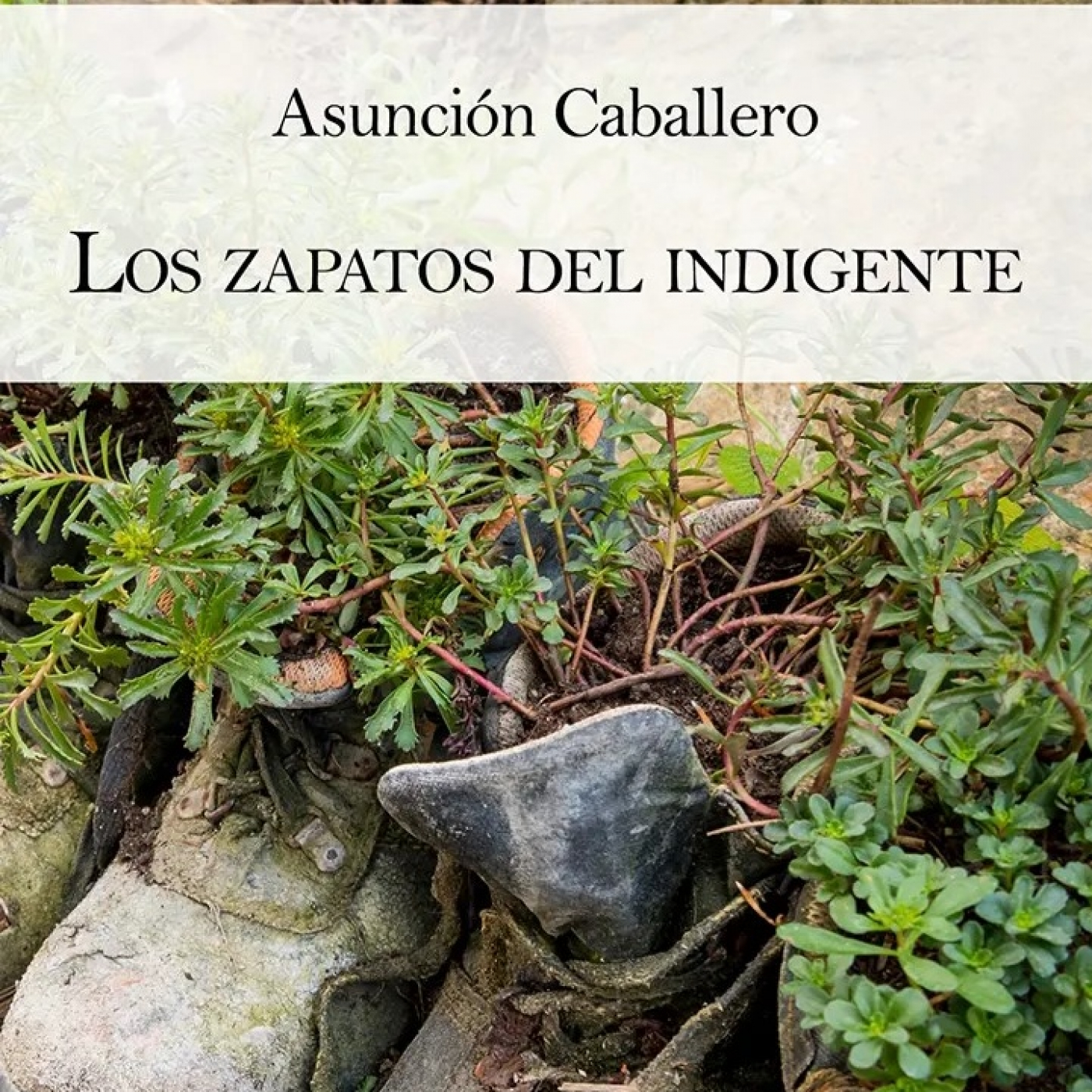 Podcast de Asunción Caballero -Mascab-