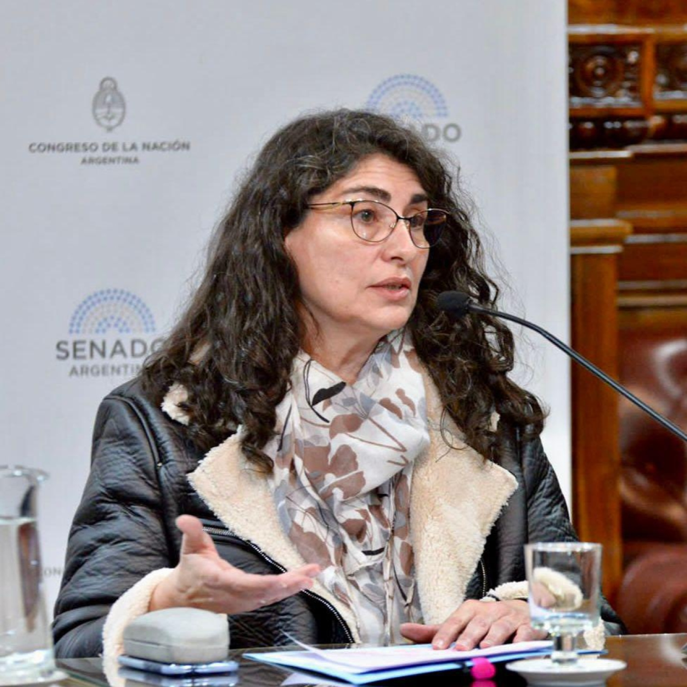 Ana María Ianni (Diputada Nacional por la Provincia de Santa Cruz por Unión por la Patria) La Picadita de los Sábados