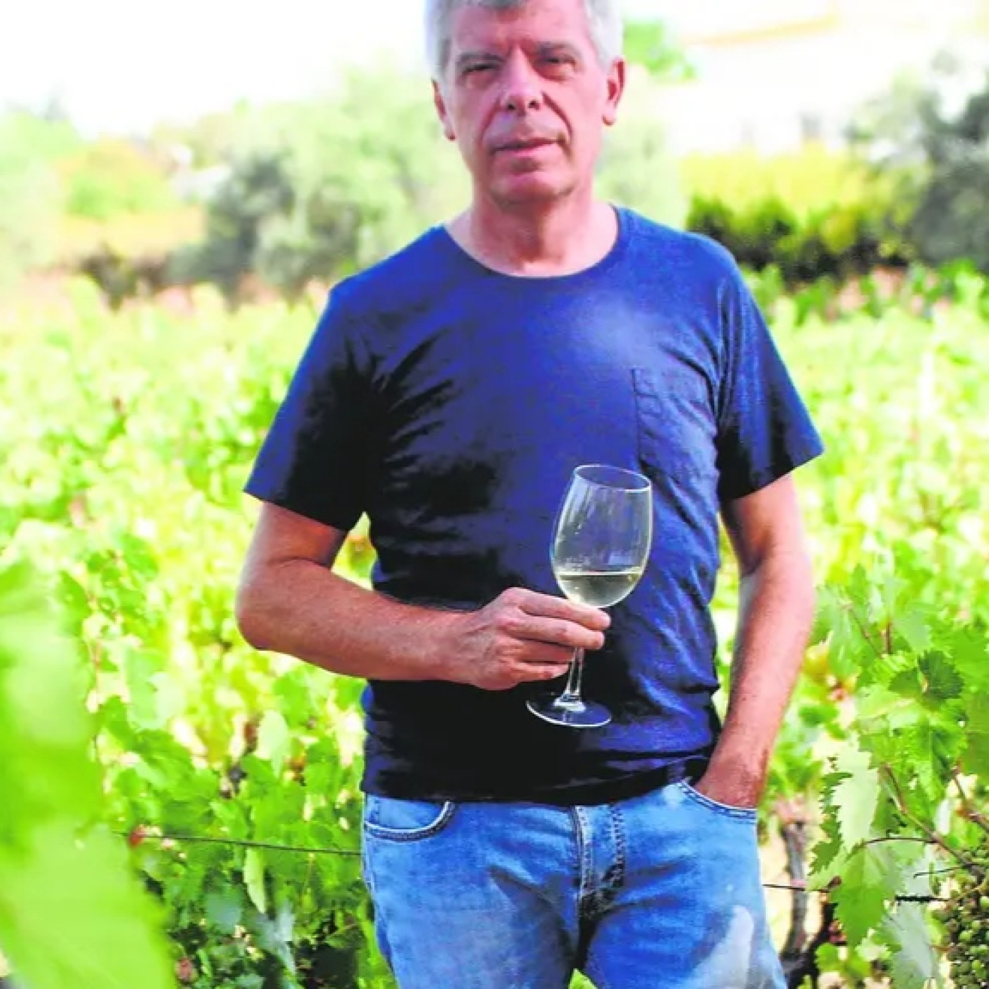 Bodegas Robles