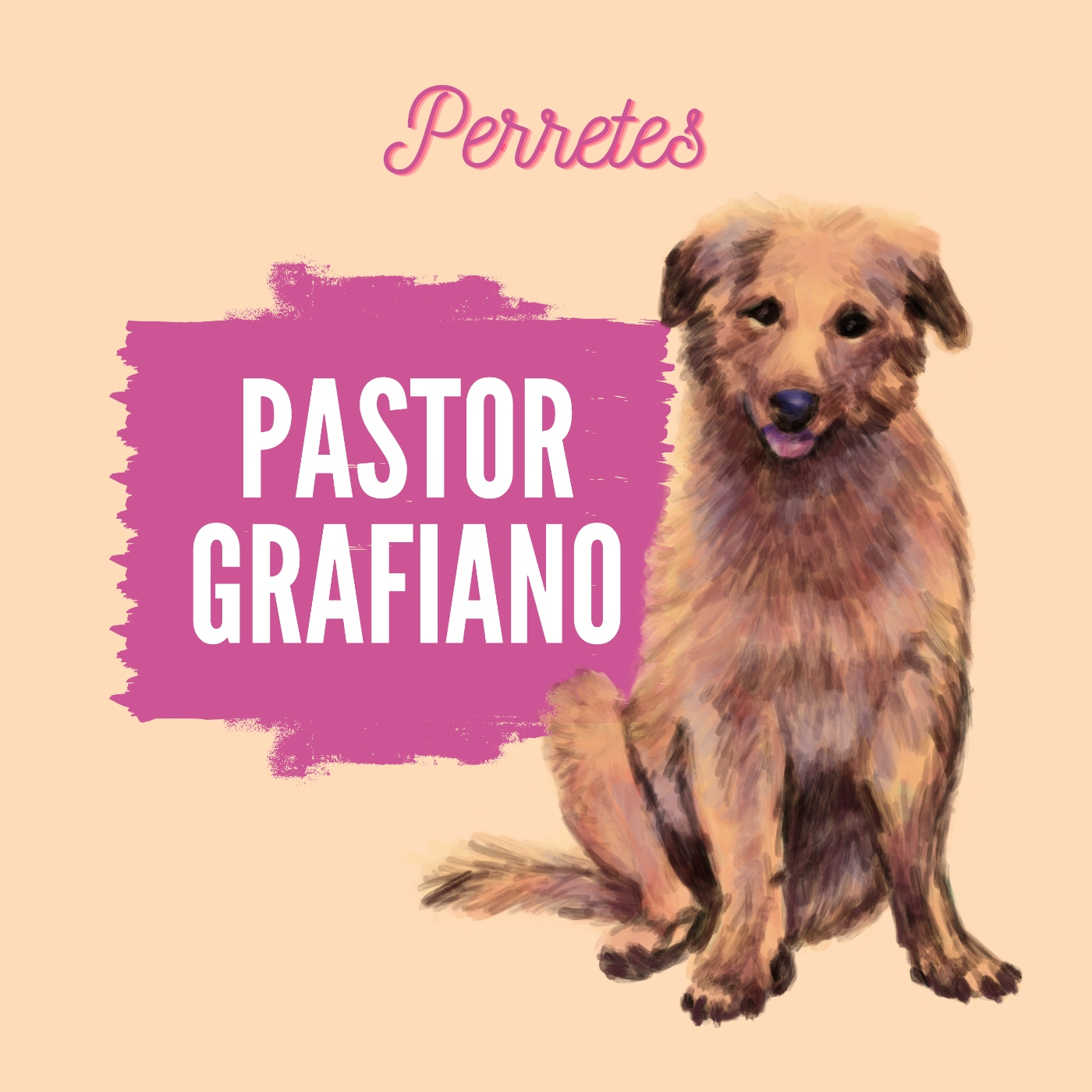 Perretes | Las razas de perros