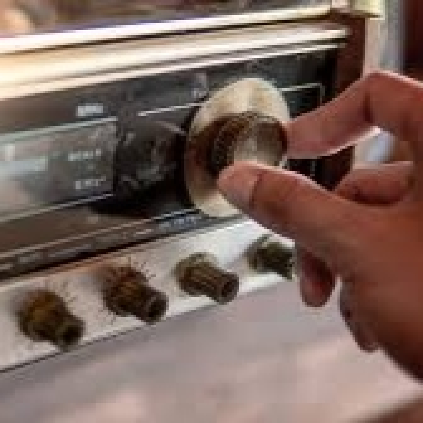 Hombre Lobo 17 Mayo 2024 episode artwork