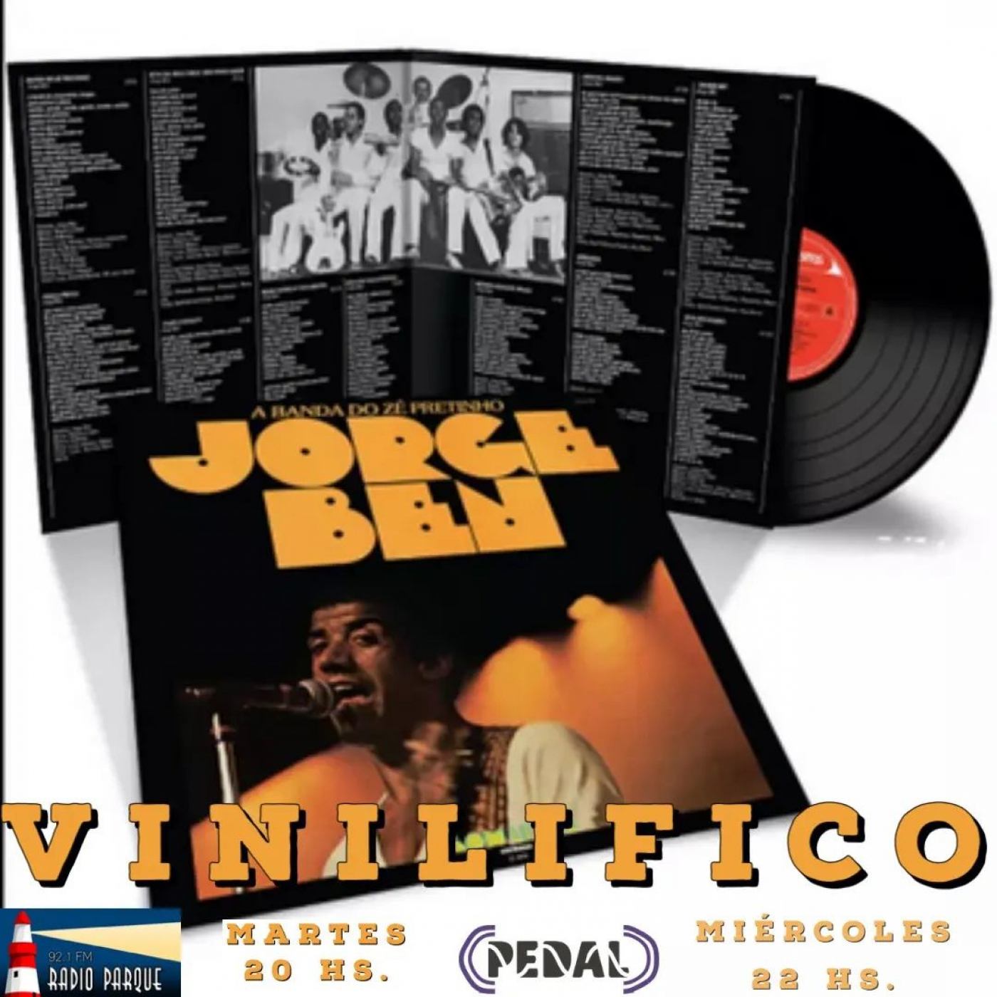 Vinilifico